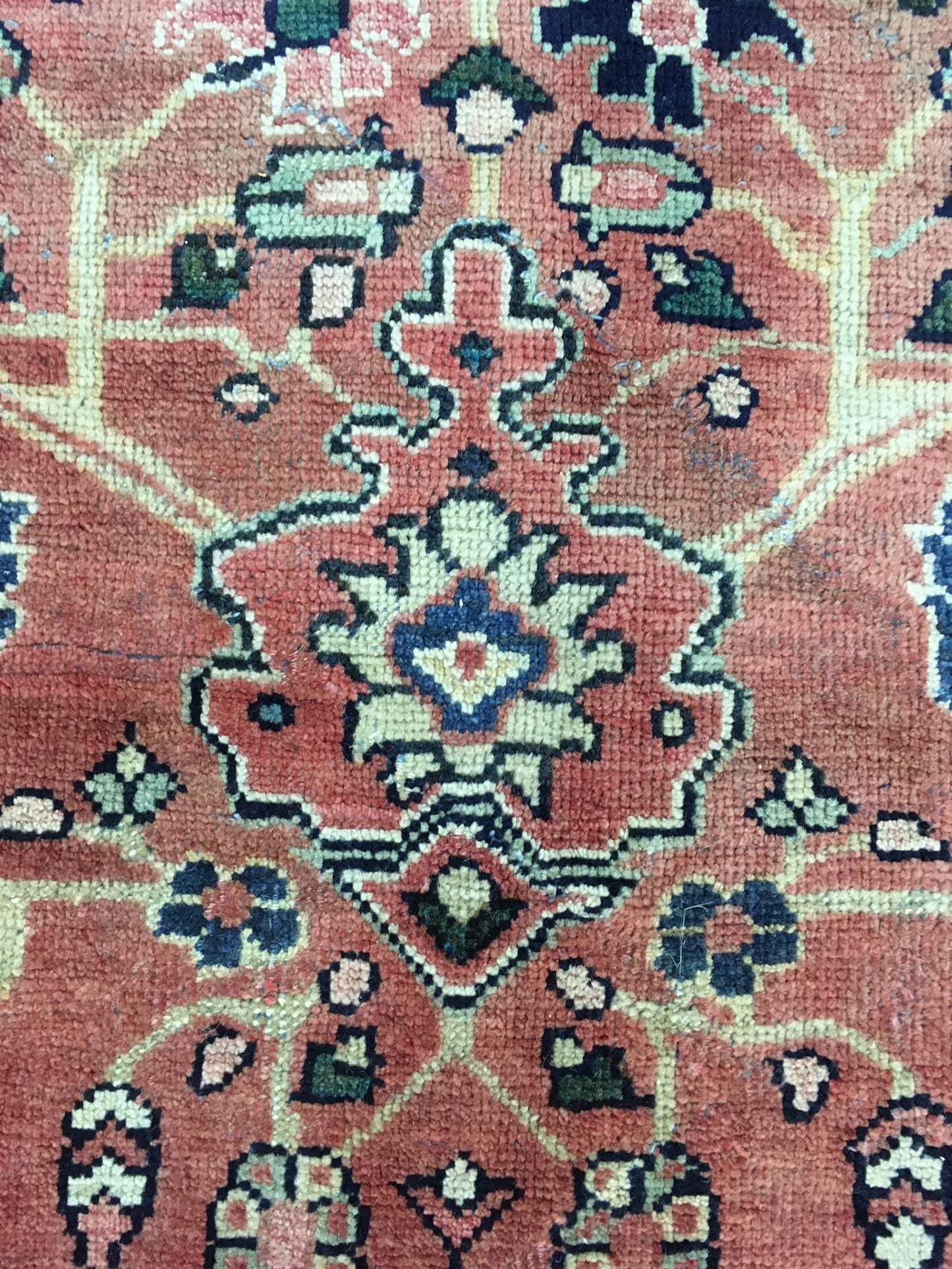 AORug#12858 size. 9' 02" x 11' 08"