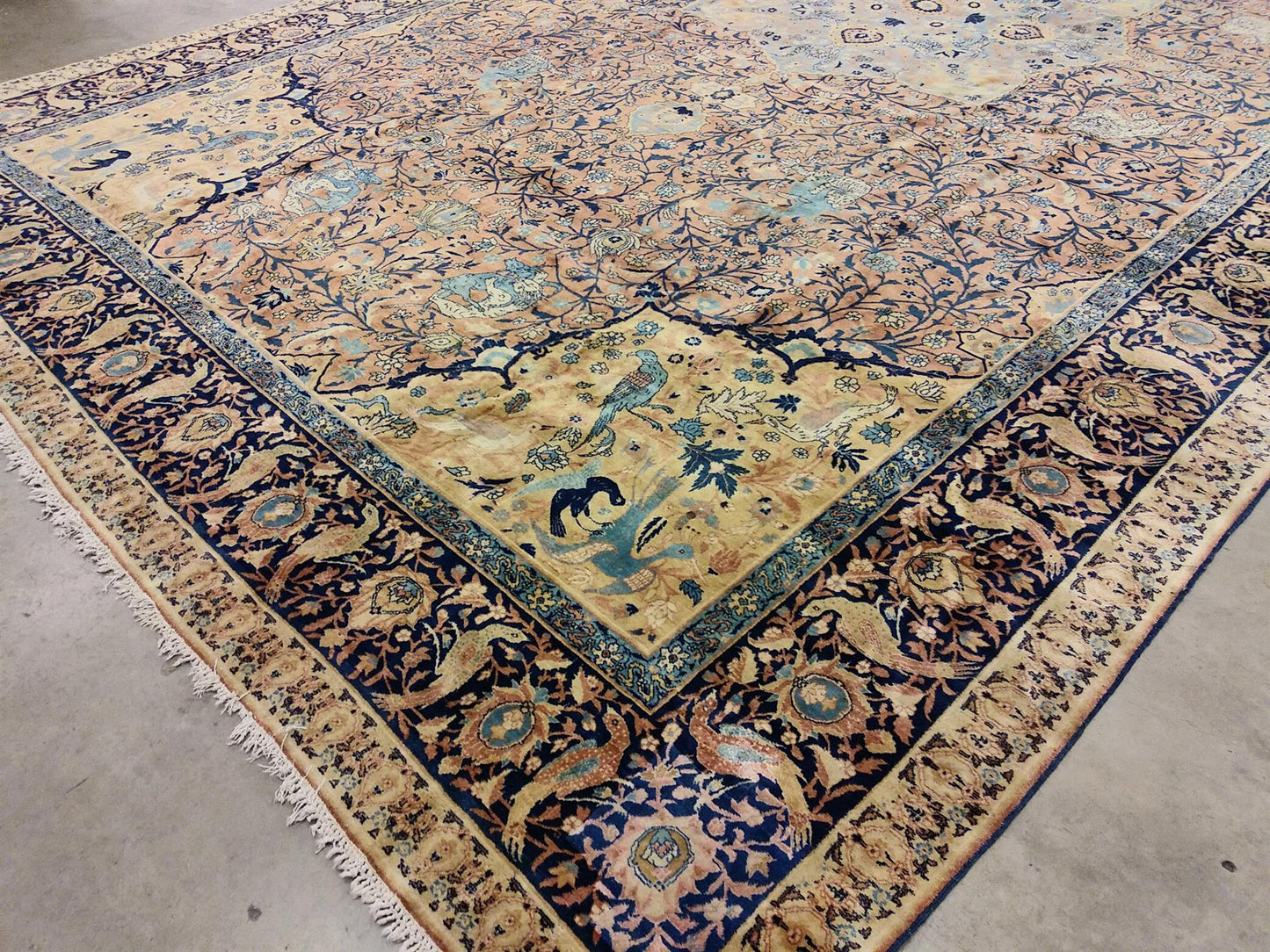 AORug#13407 size. 11' 09" x 21' 06"