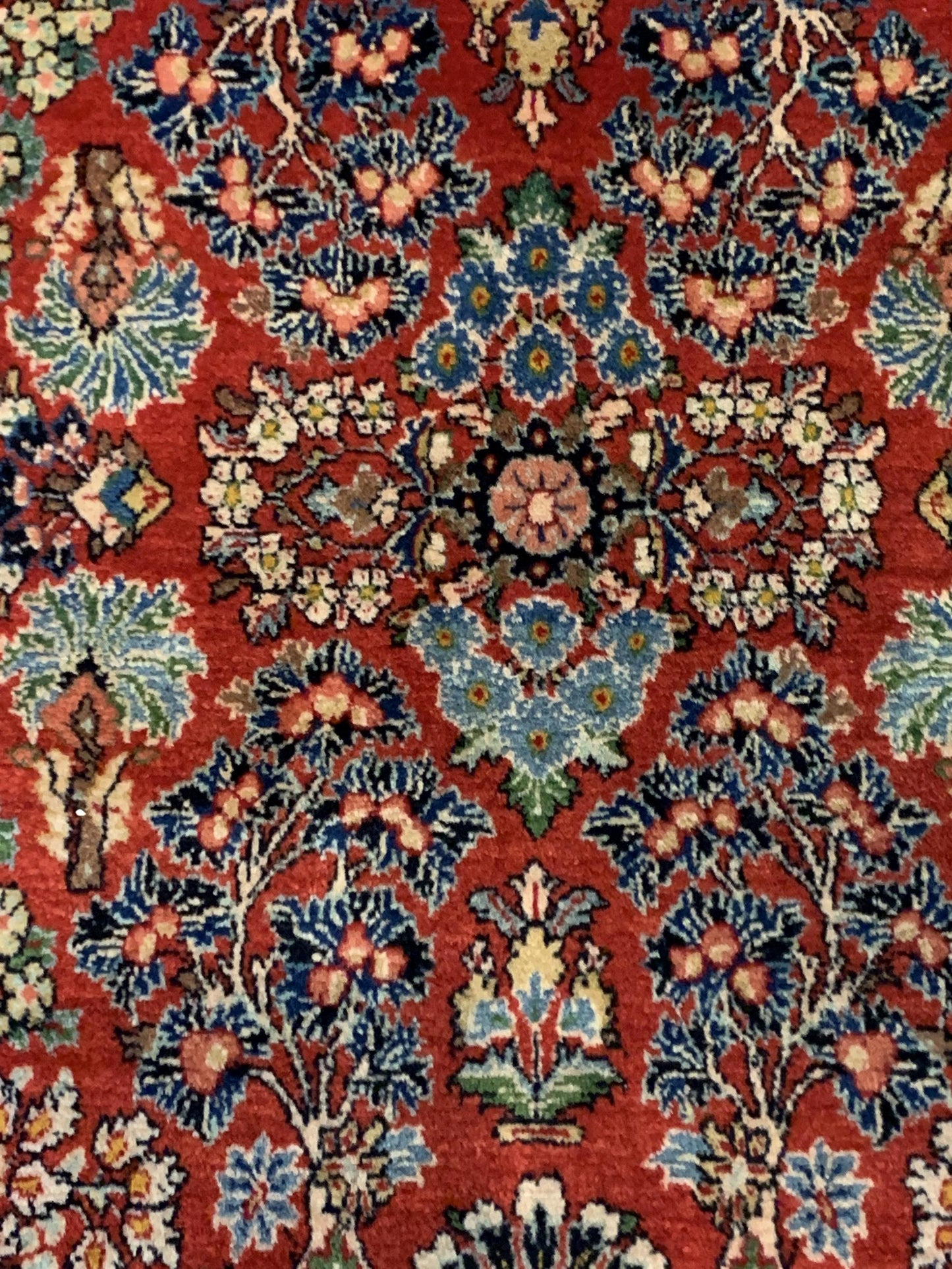 AORug#10598 size. 4' 01" x 6' 09"
