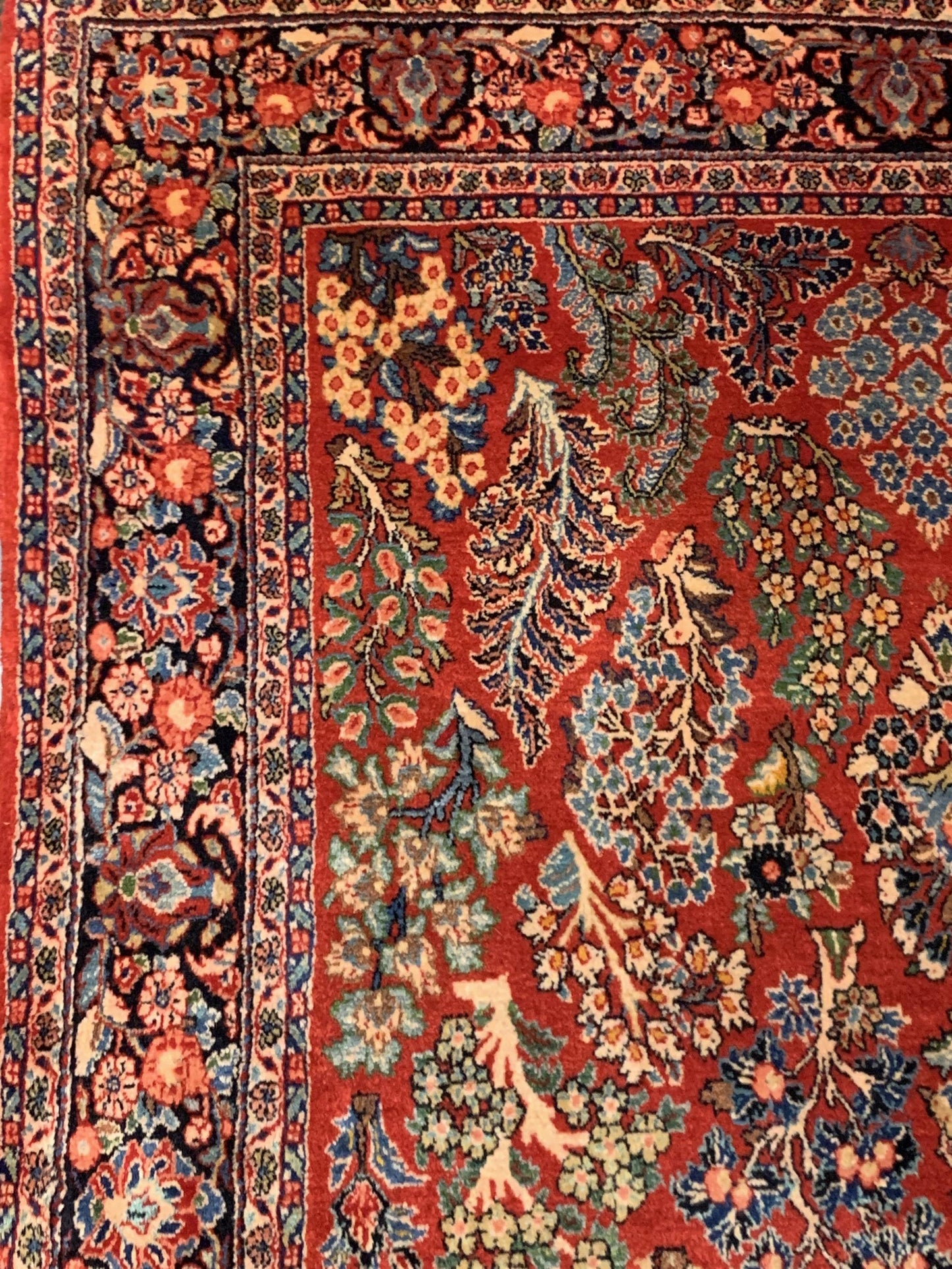 AORug#10598 size. 4' 01" x 6' 09"