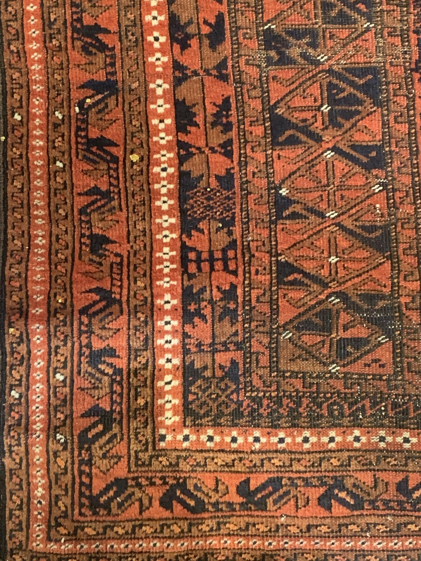 AORug#3959 size. 3' 07" x 6' 07"