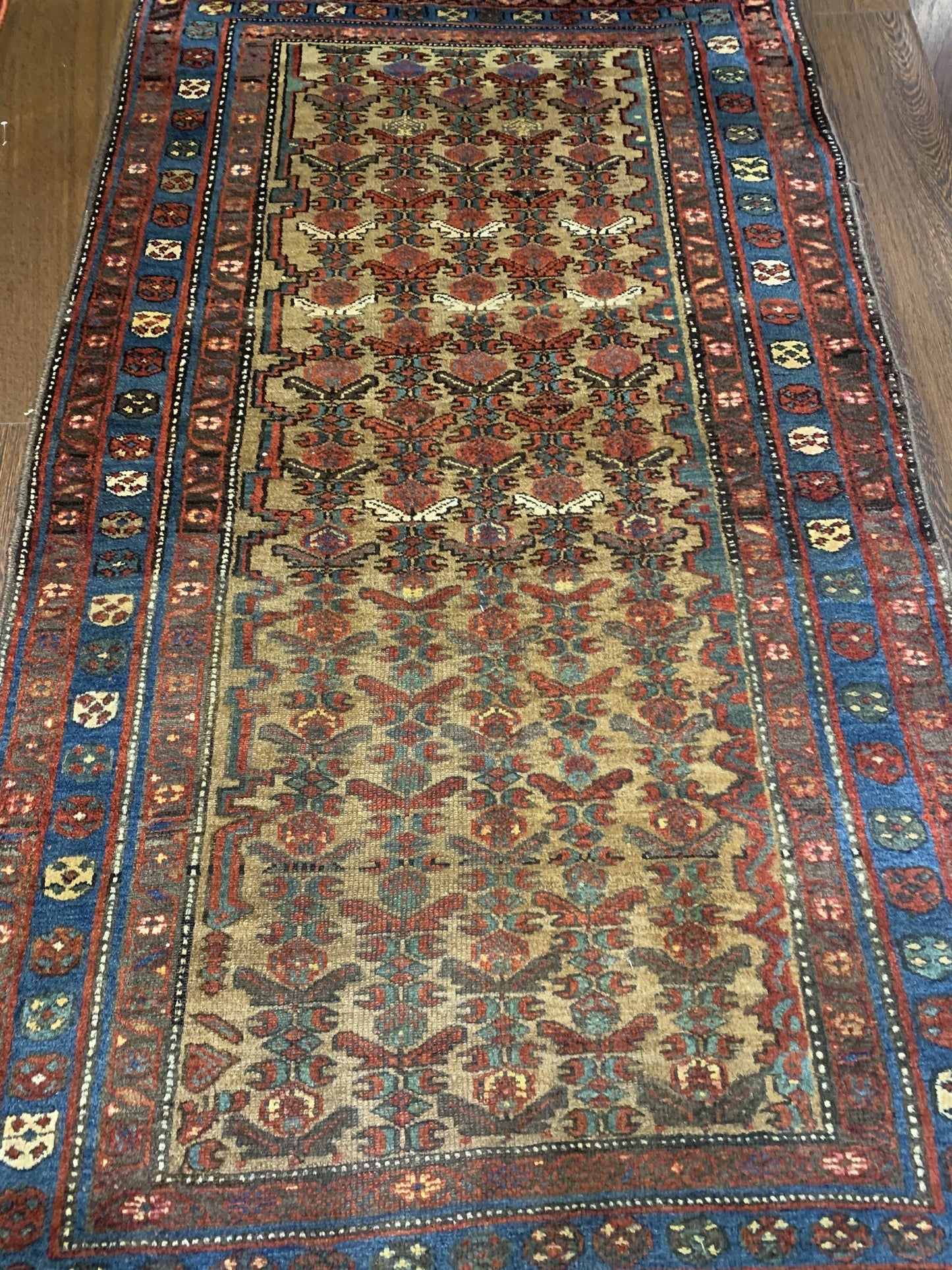 AORug#4076 size. 4' 00" x 7' 00"