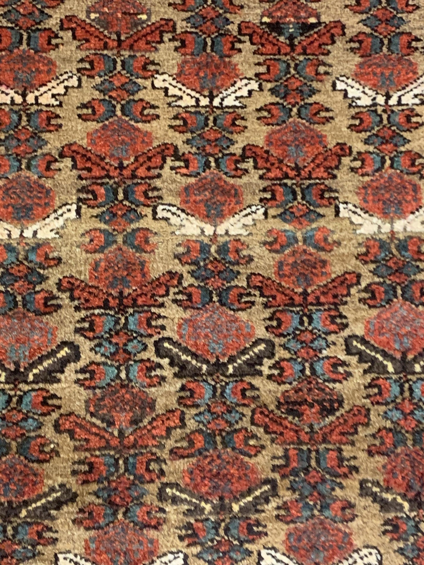 AORug#4076 size. 4' 00" x 7' 00"