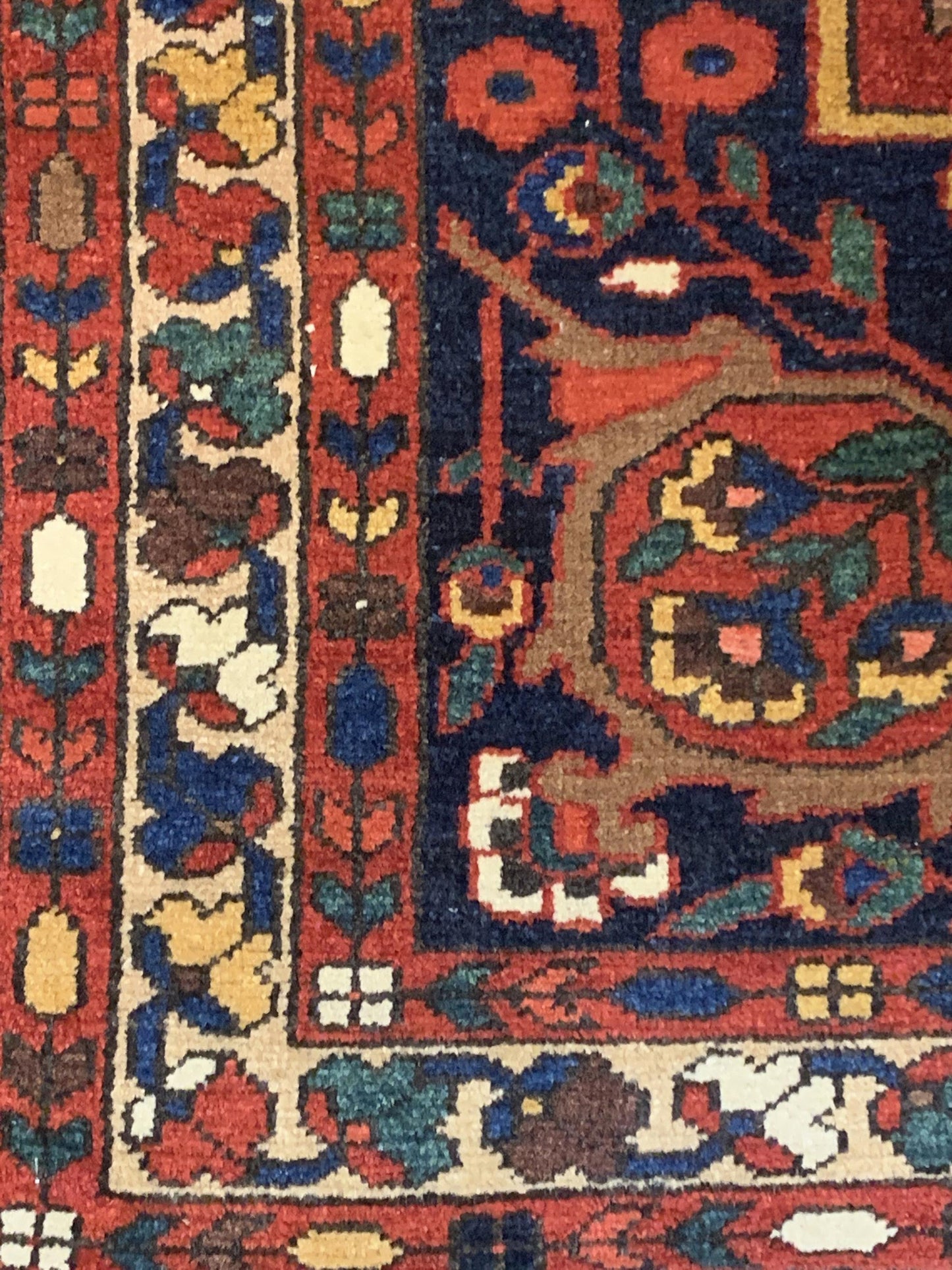 AORug#4563 size. 4' 08" x 6' 08"