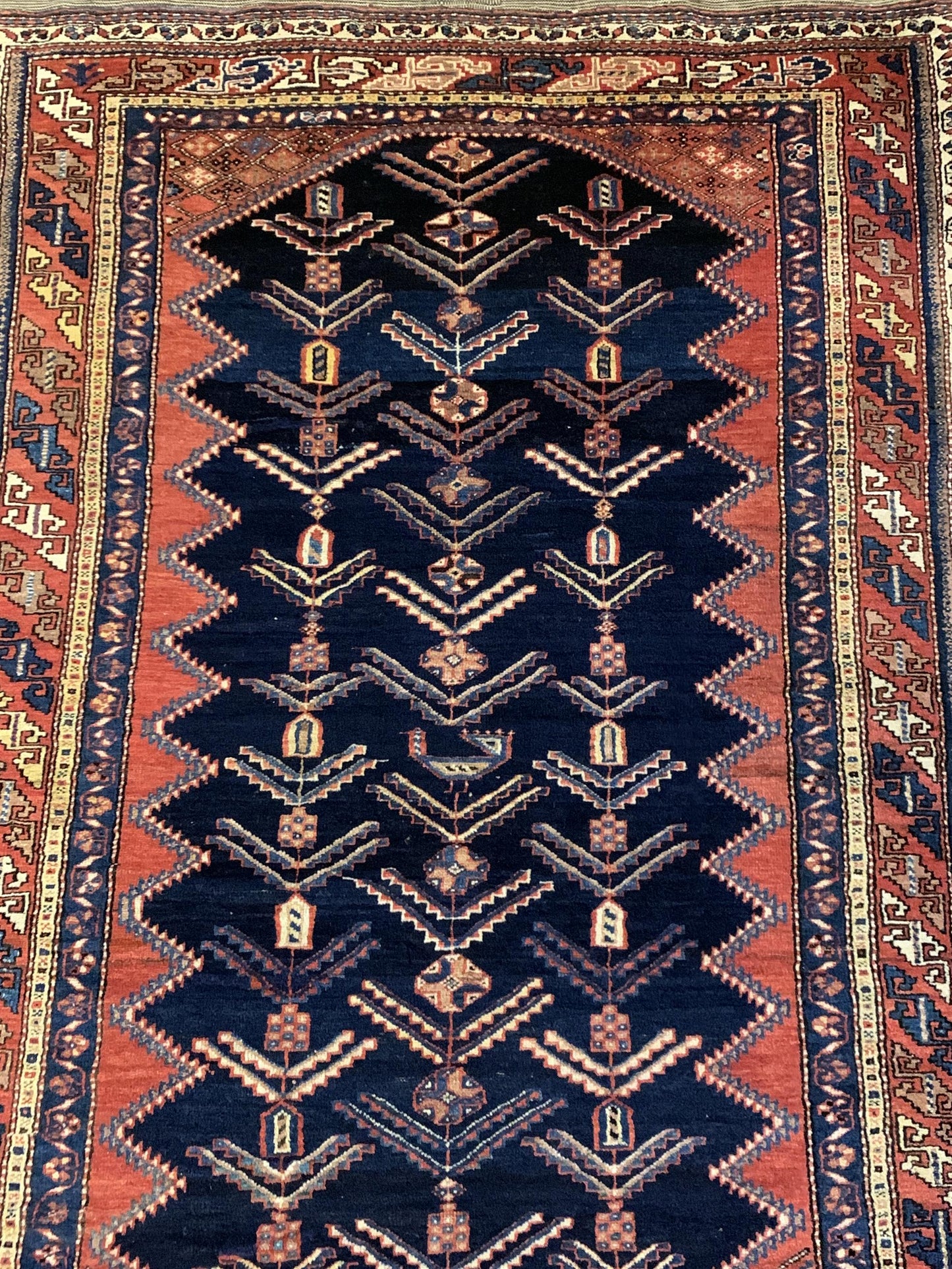 AORug#4072 size. 4' 03" x 6' 00"