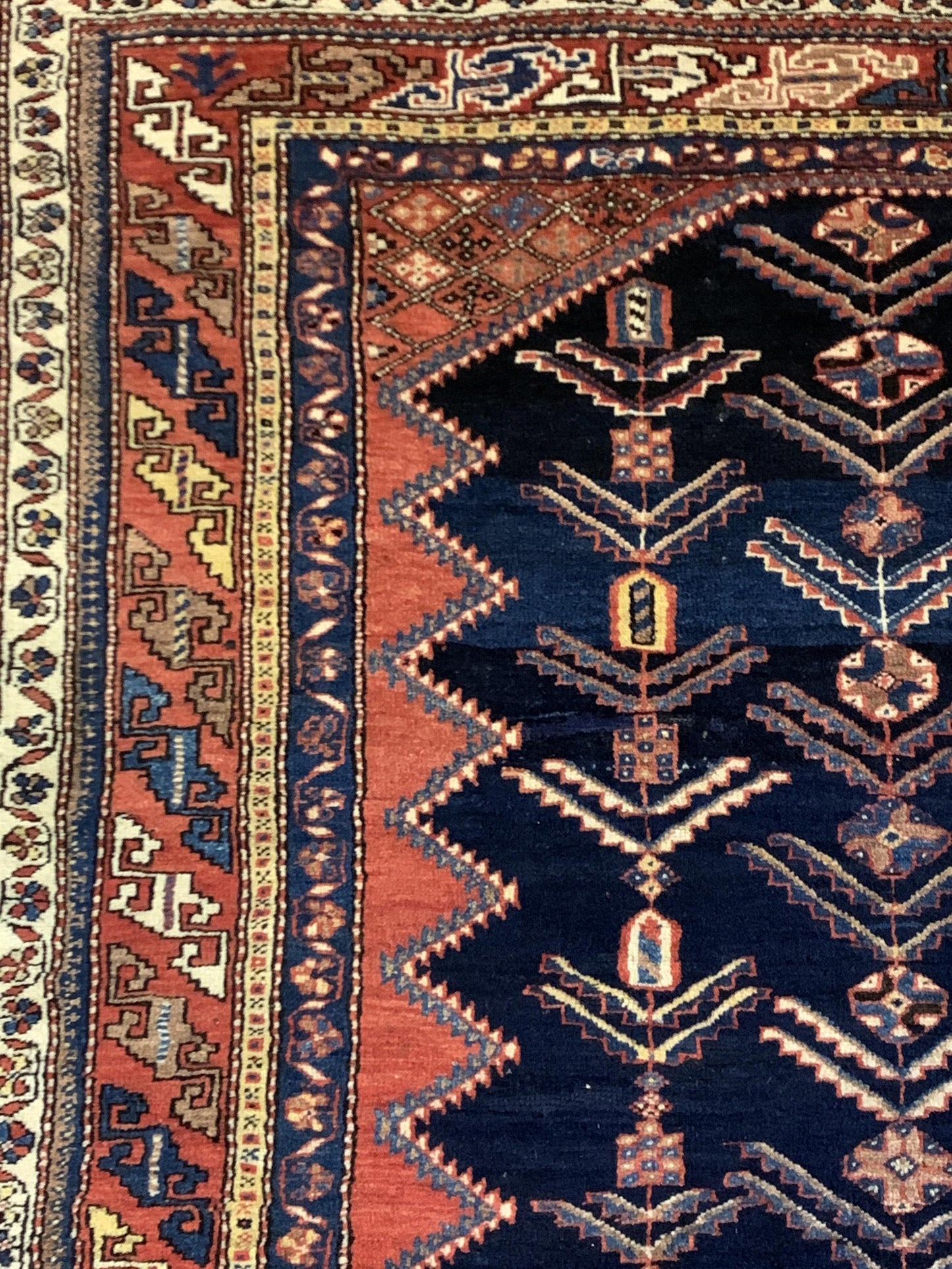 AORug#4072 size. 4' 03" x 6' 00"