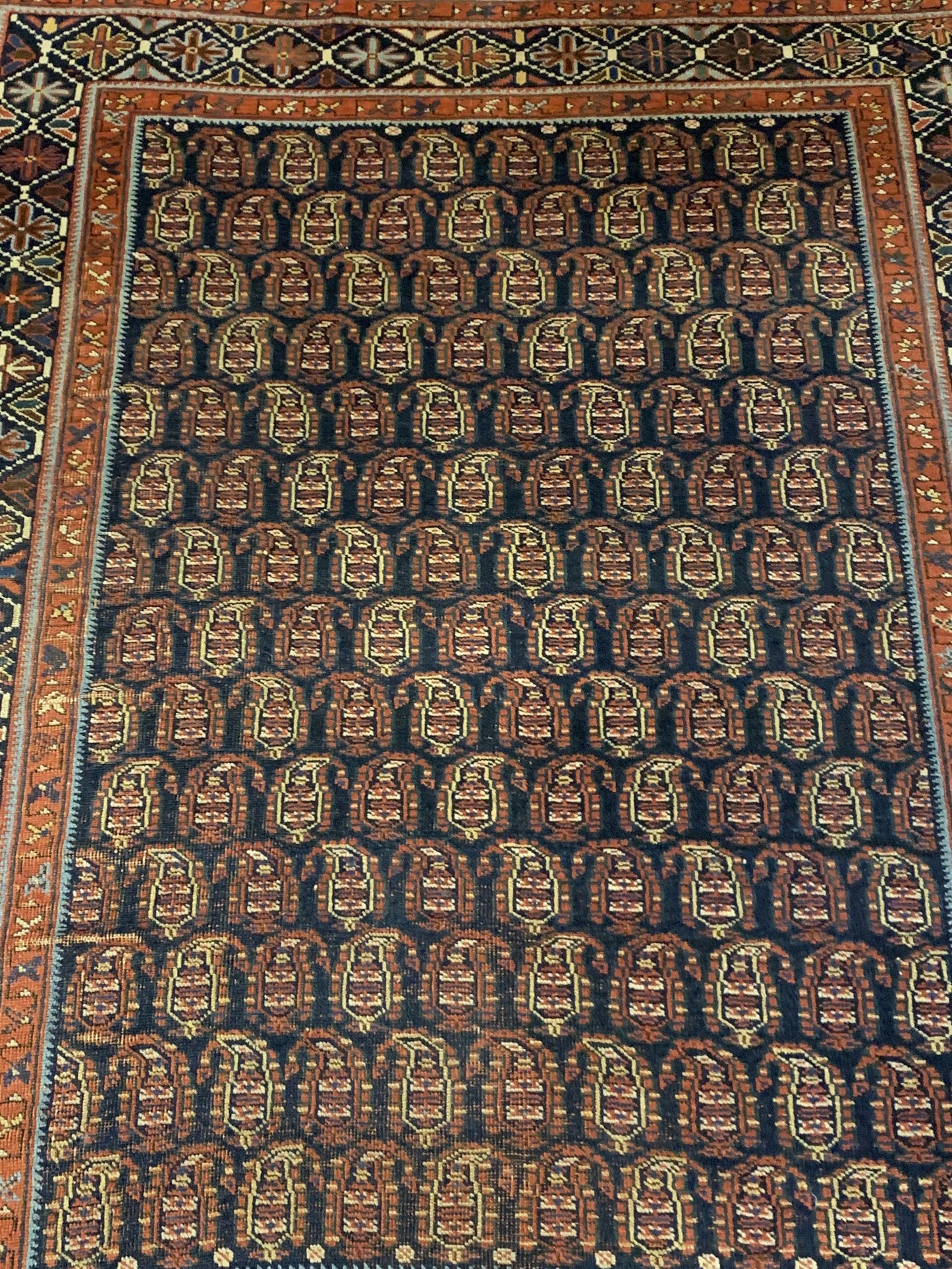 AORug#3953 size. 4' 03" x 5' 07"