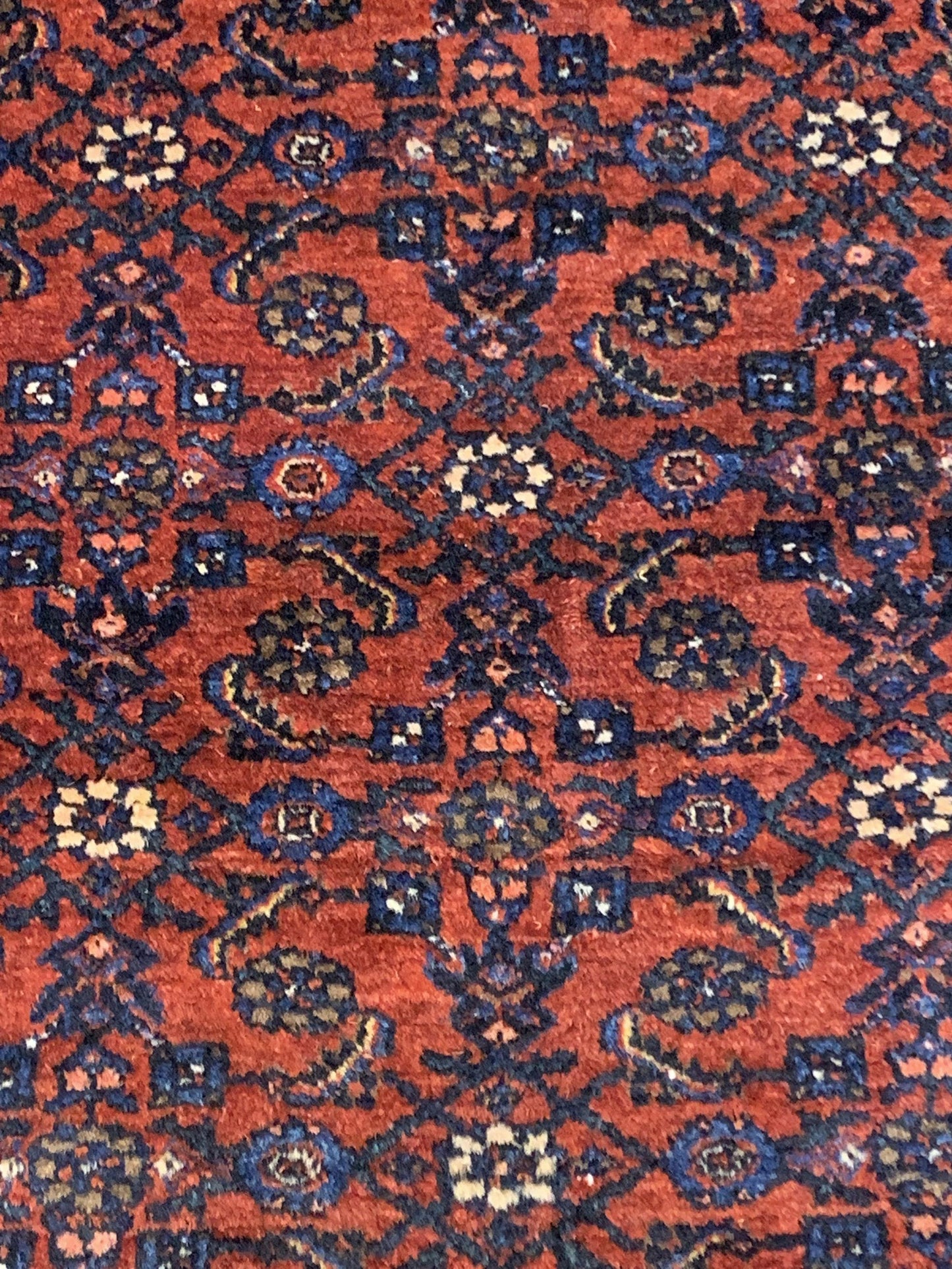 AORug#3967 size. 4' 09" x 6' 03"