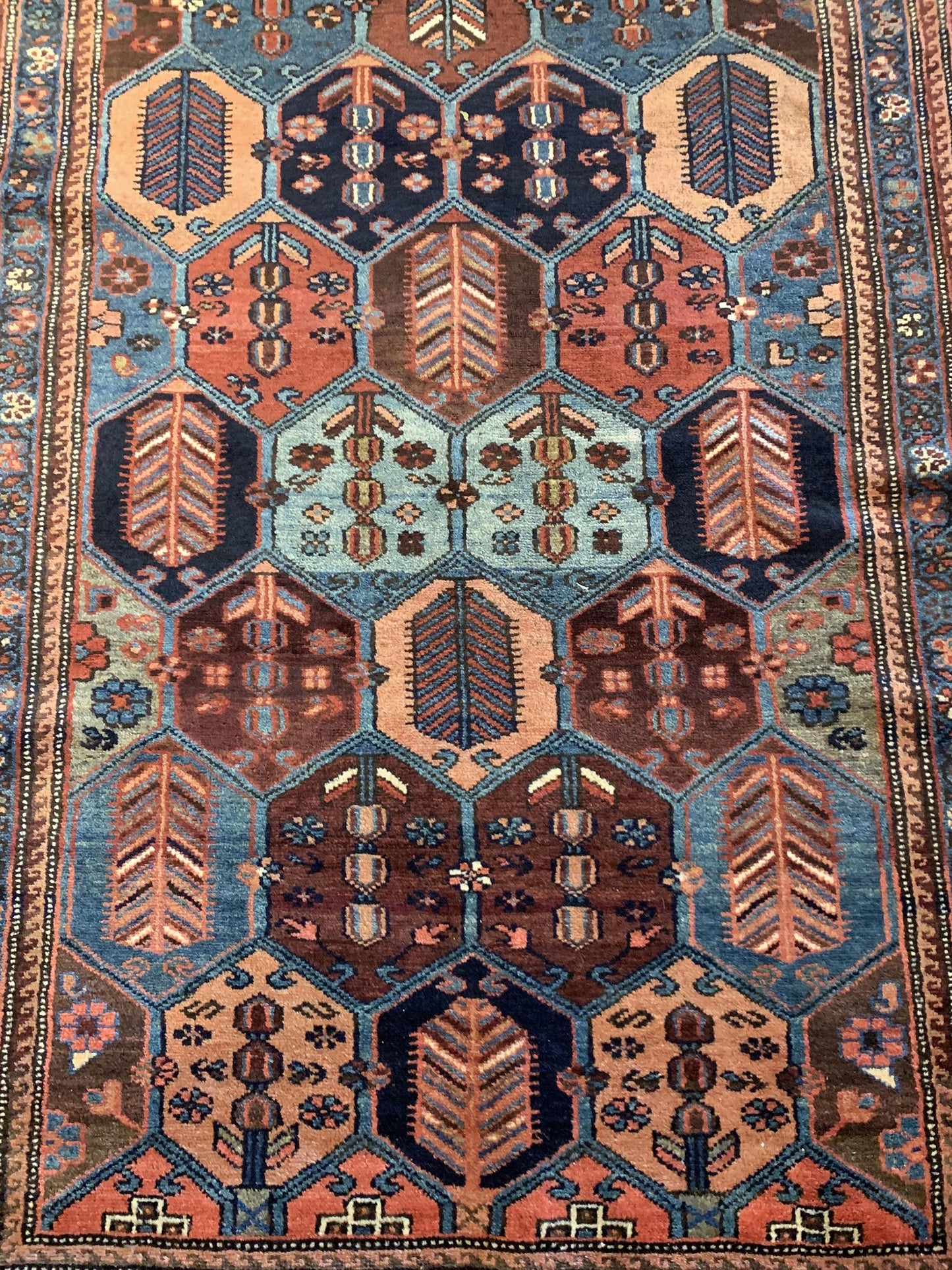 AORug#3250 size. 3' 07" x 10' 04"