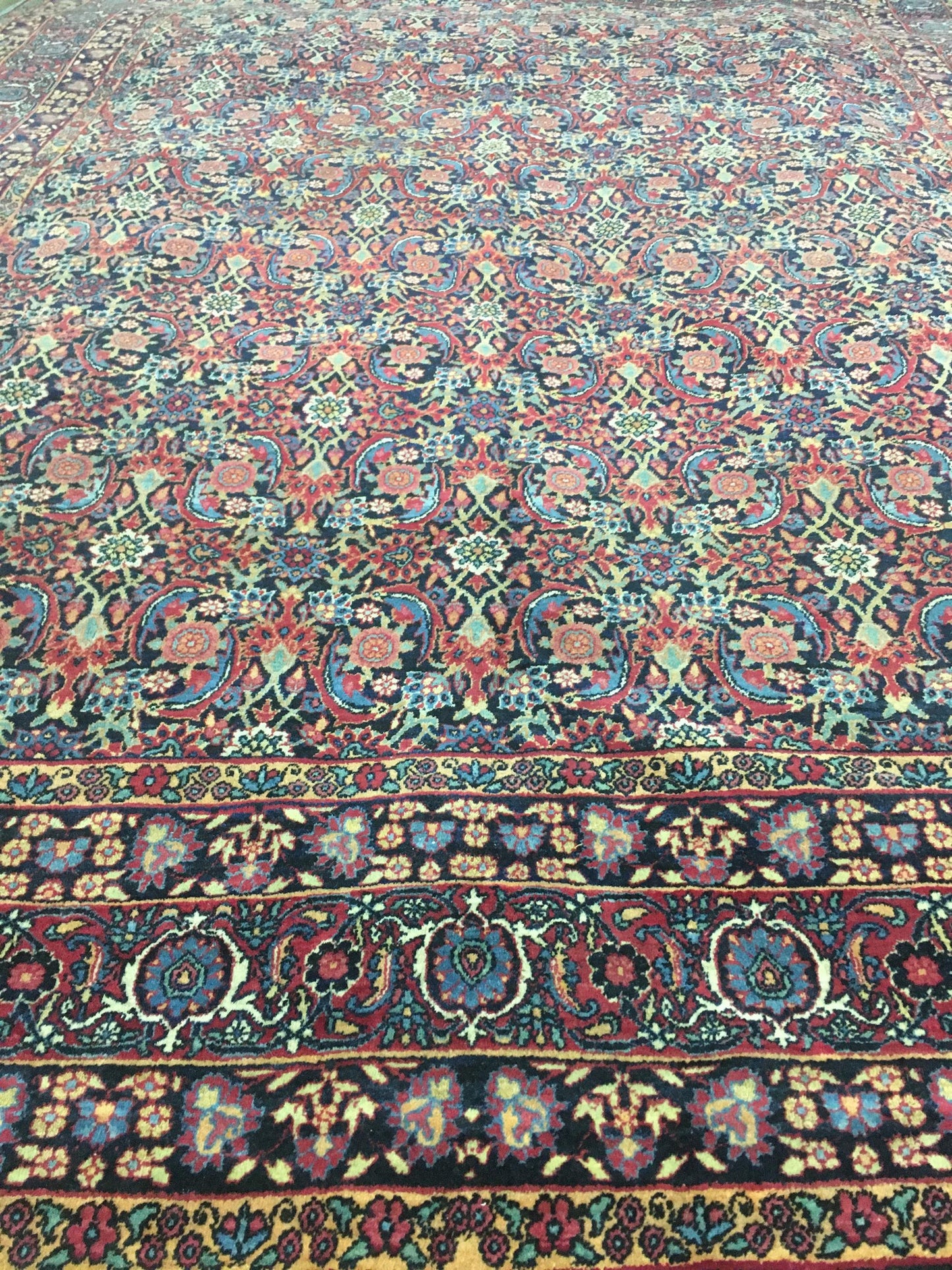 AORug#13404 size. 8' 04" x 11' 00"