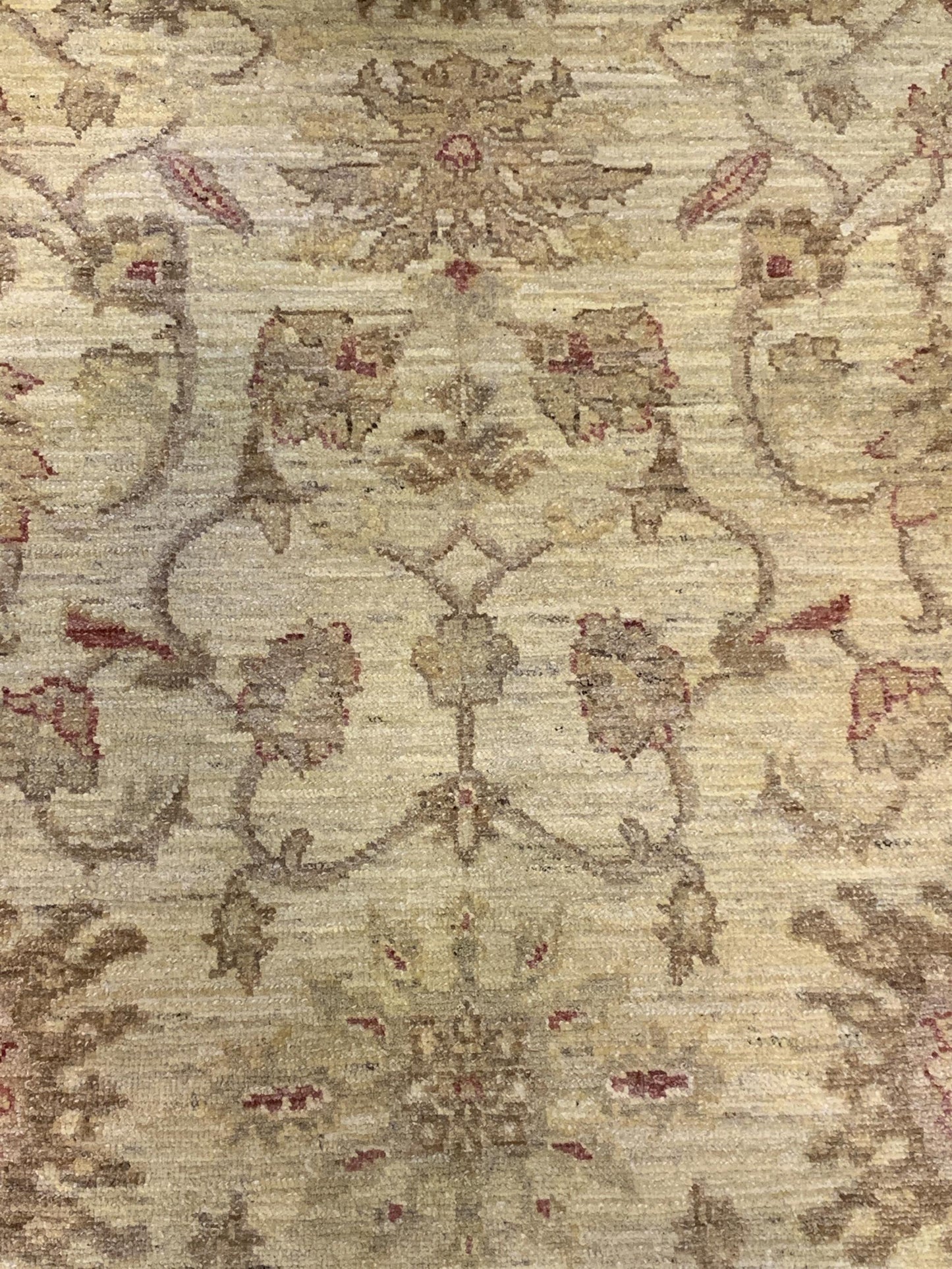 AORug#2313 size. 5' 10" x 8' 11"
