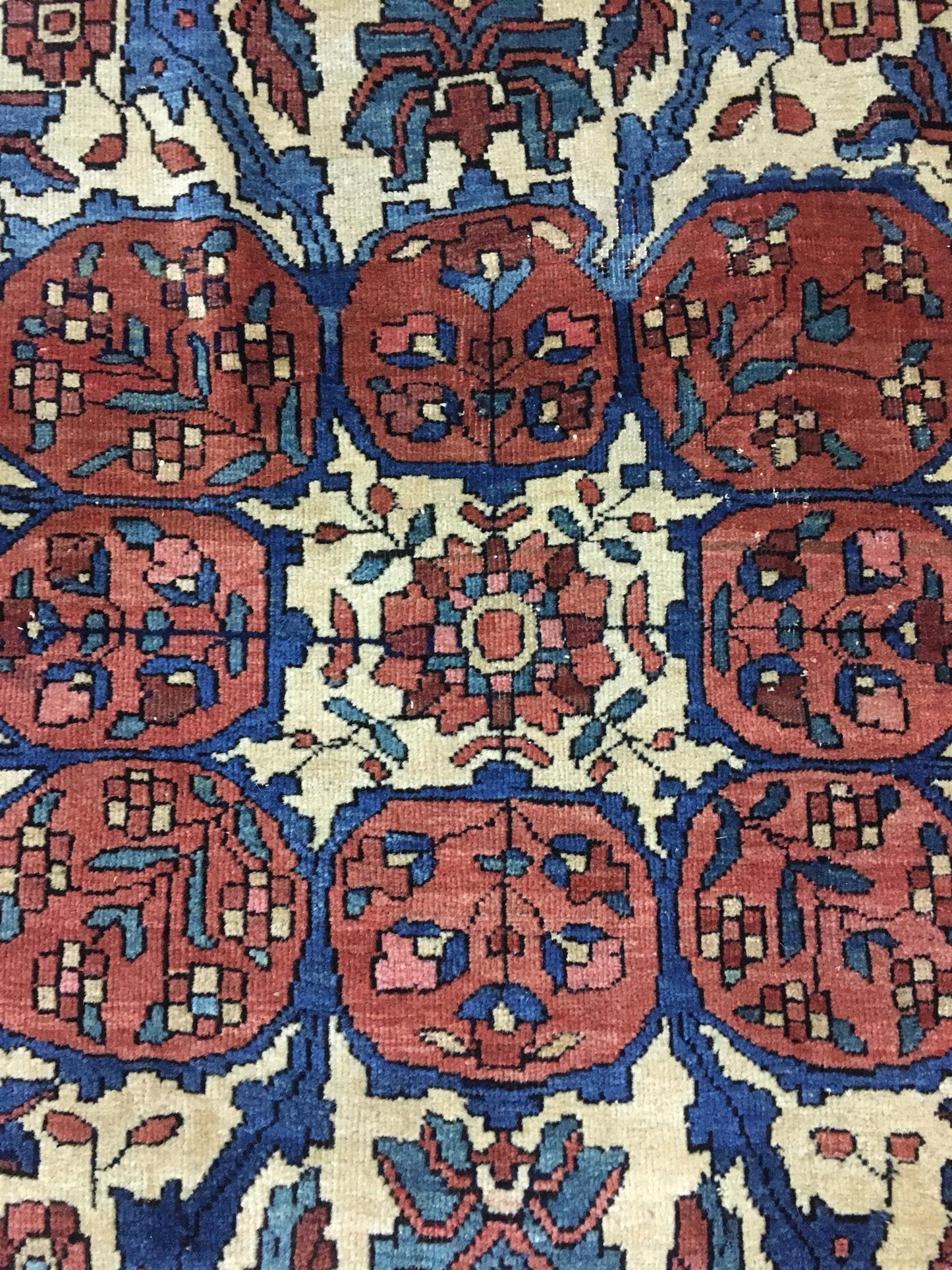 AORug#13481 size. 8' 03" x 12' 03"