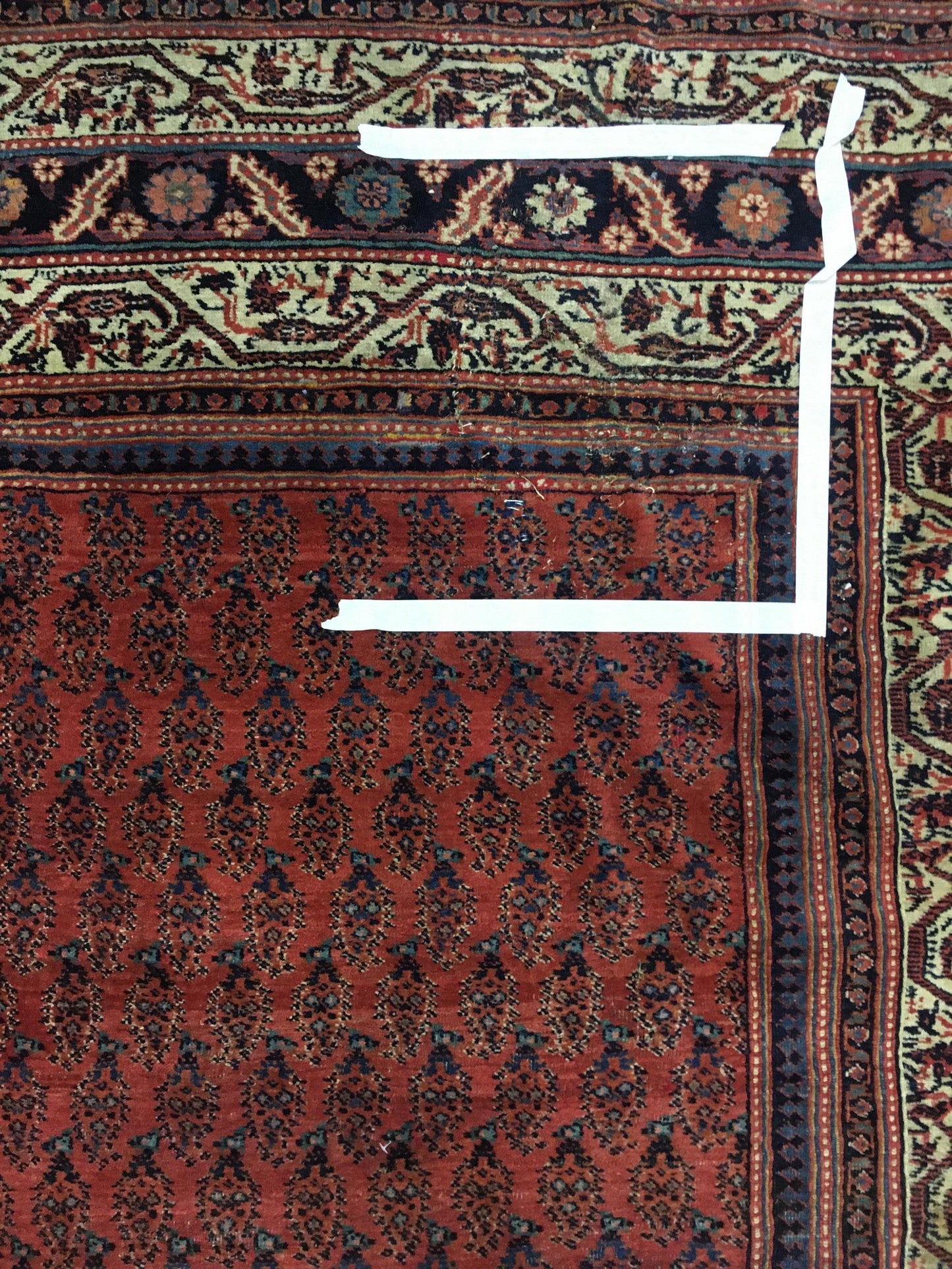 AORug#12856 size. 8' 03" x 19' 03"