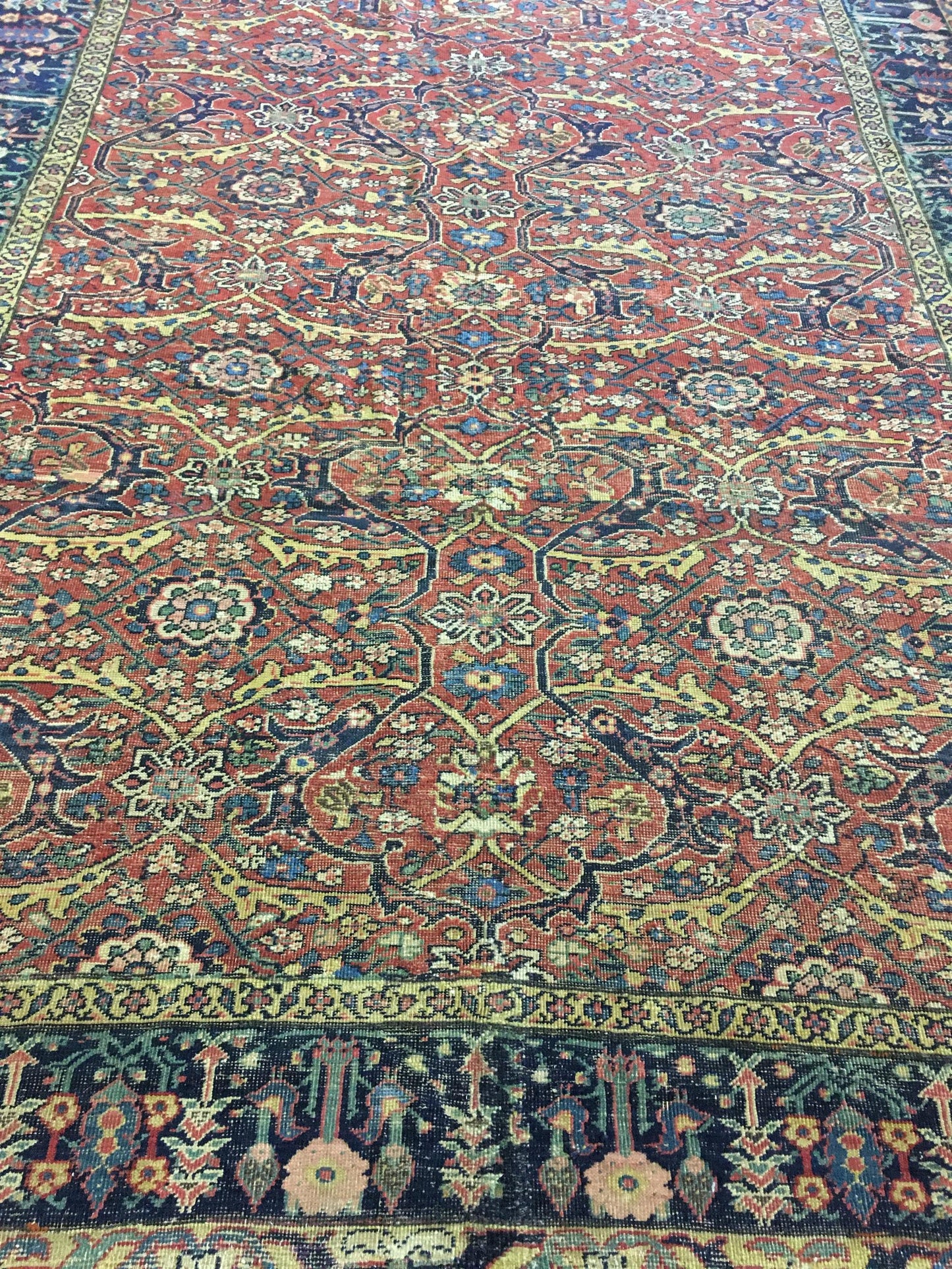 AORug#8121 size. 6' 07" x 12' 09"