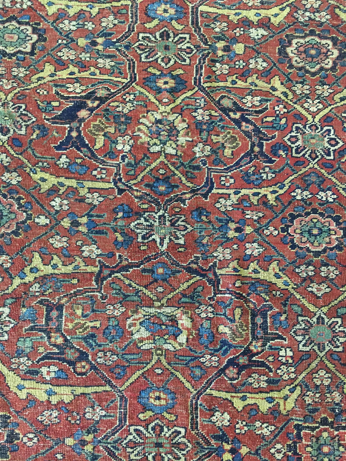 AORug#8121 size. 6' 07" x 12' 09"