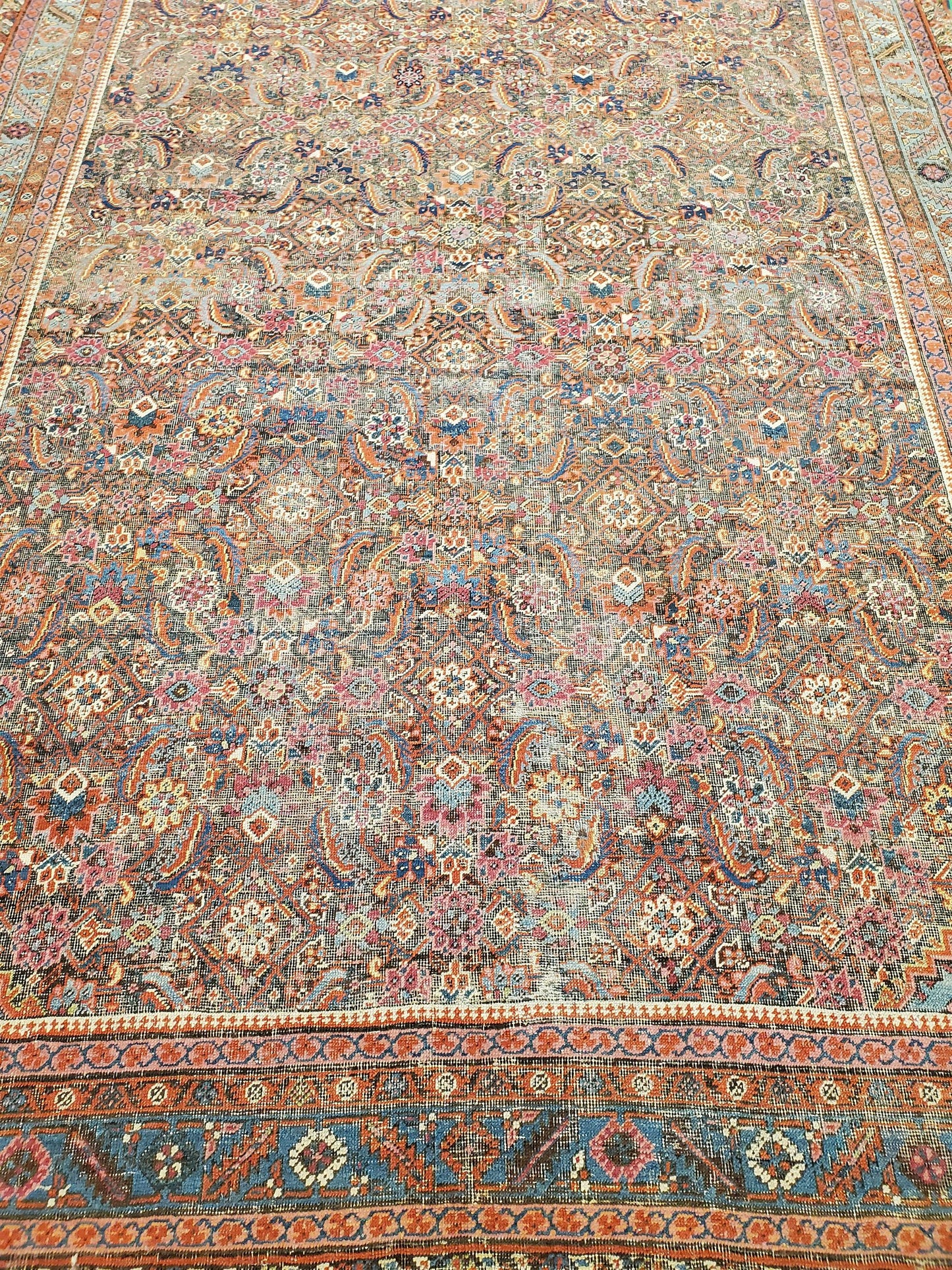 AORug#13811 size. 7' 04" x 16' 10"