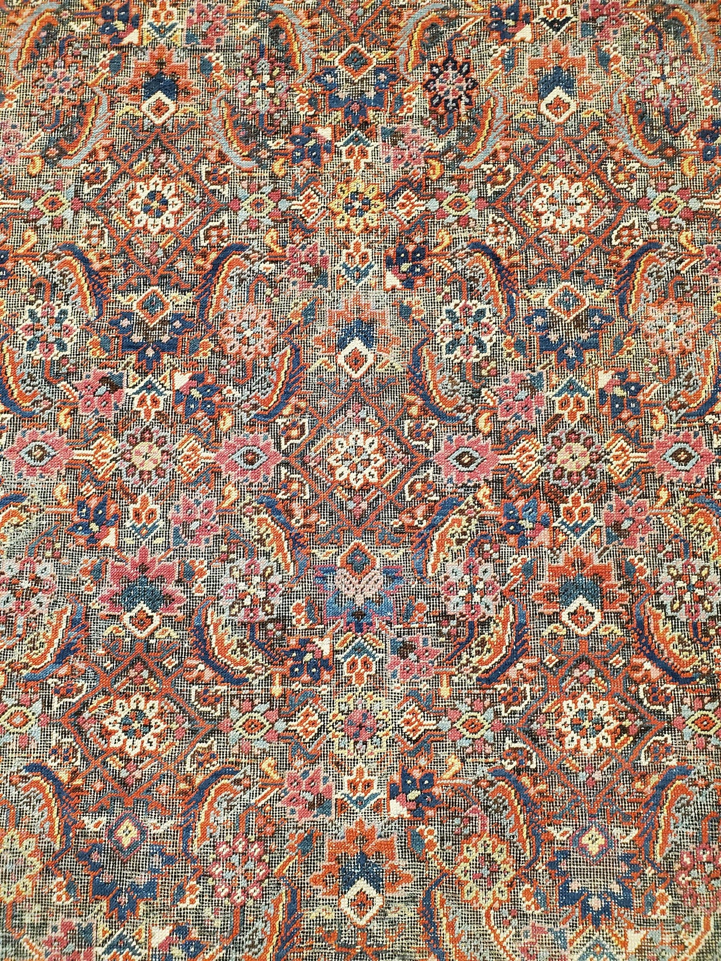 AORug#13811 size. 7' 04" x 16' 10"