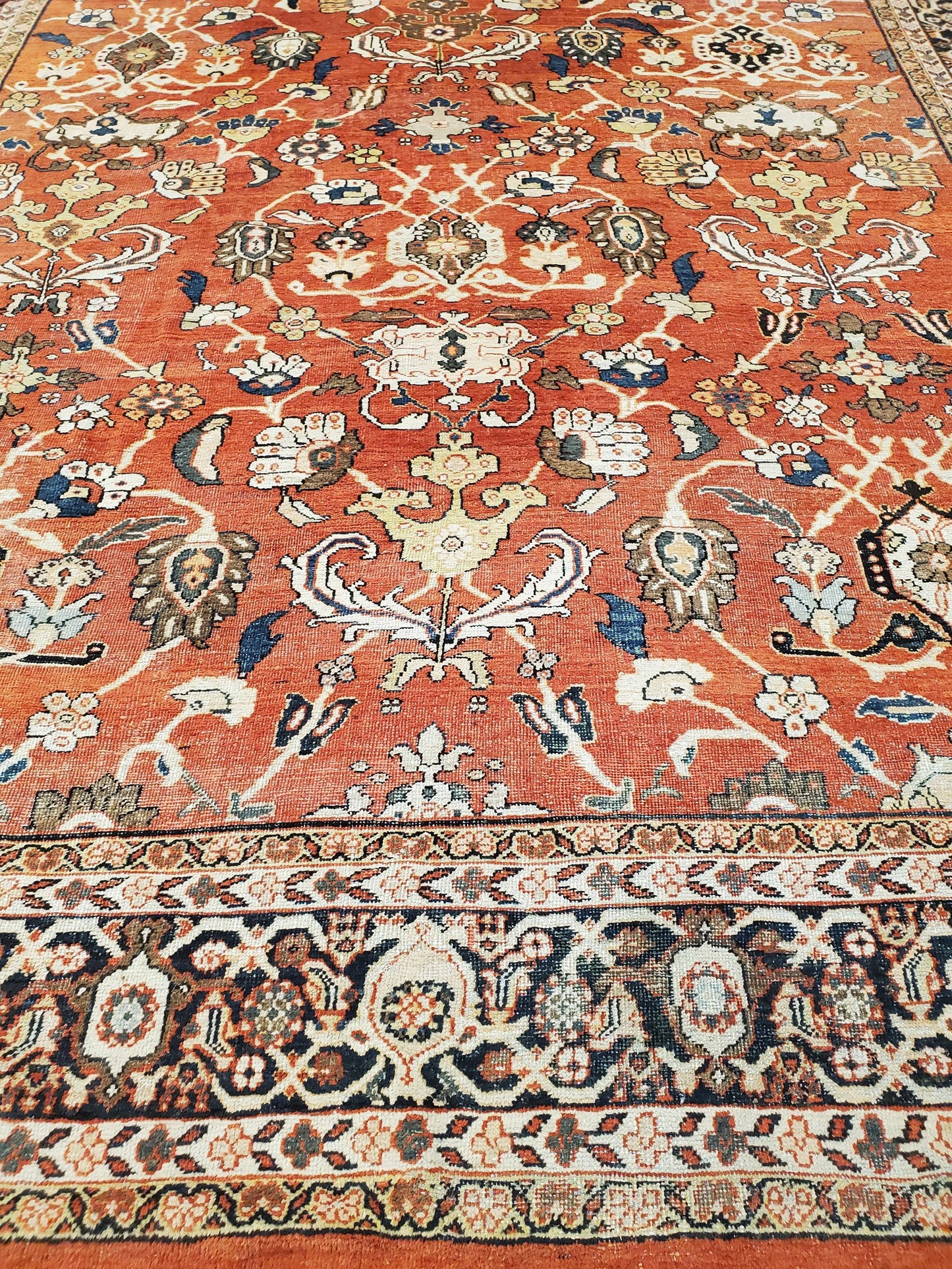 AORug#13831 size. 12' 02" x 20' 11"