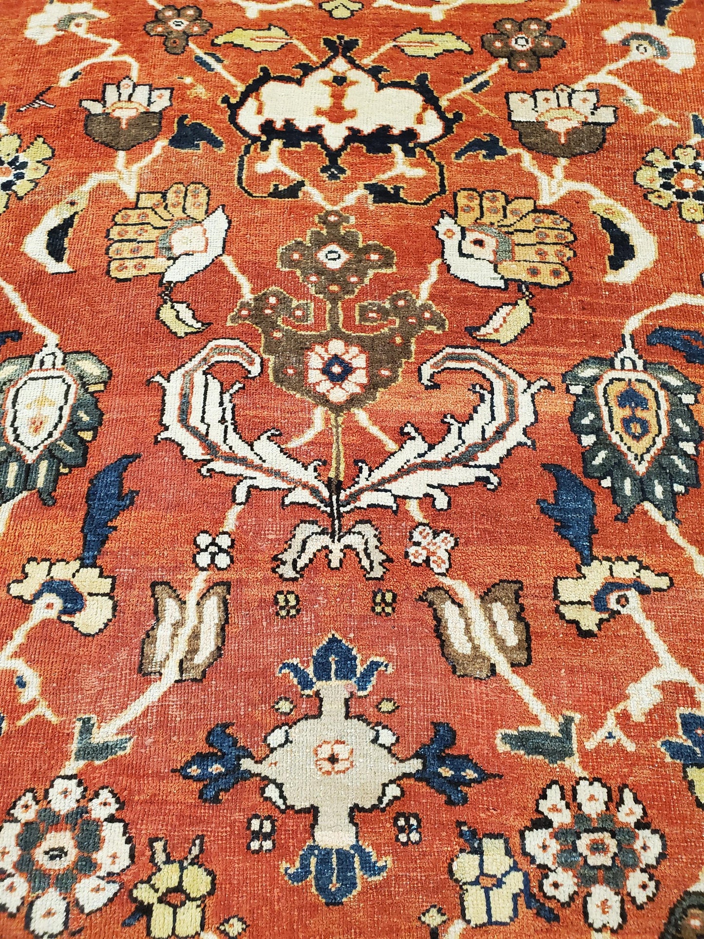 AORug#13831 size. 12' 02" x 20' 11"