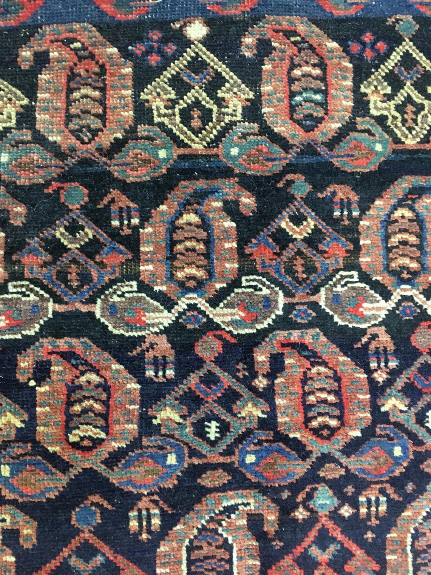 AORug#8132 size. 6' 09" x 11' 02"