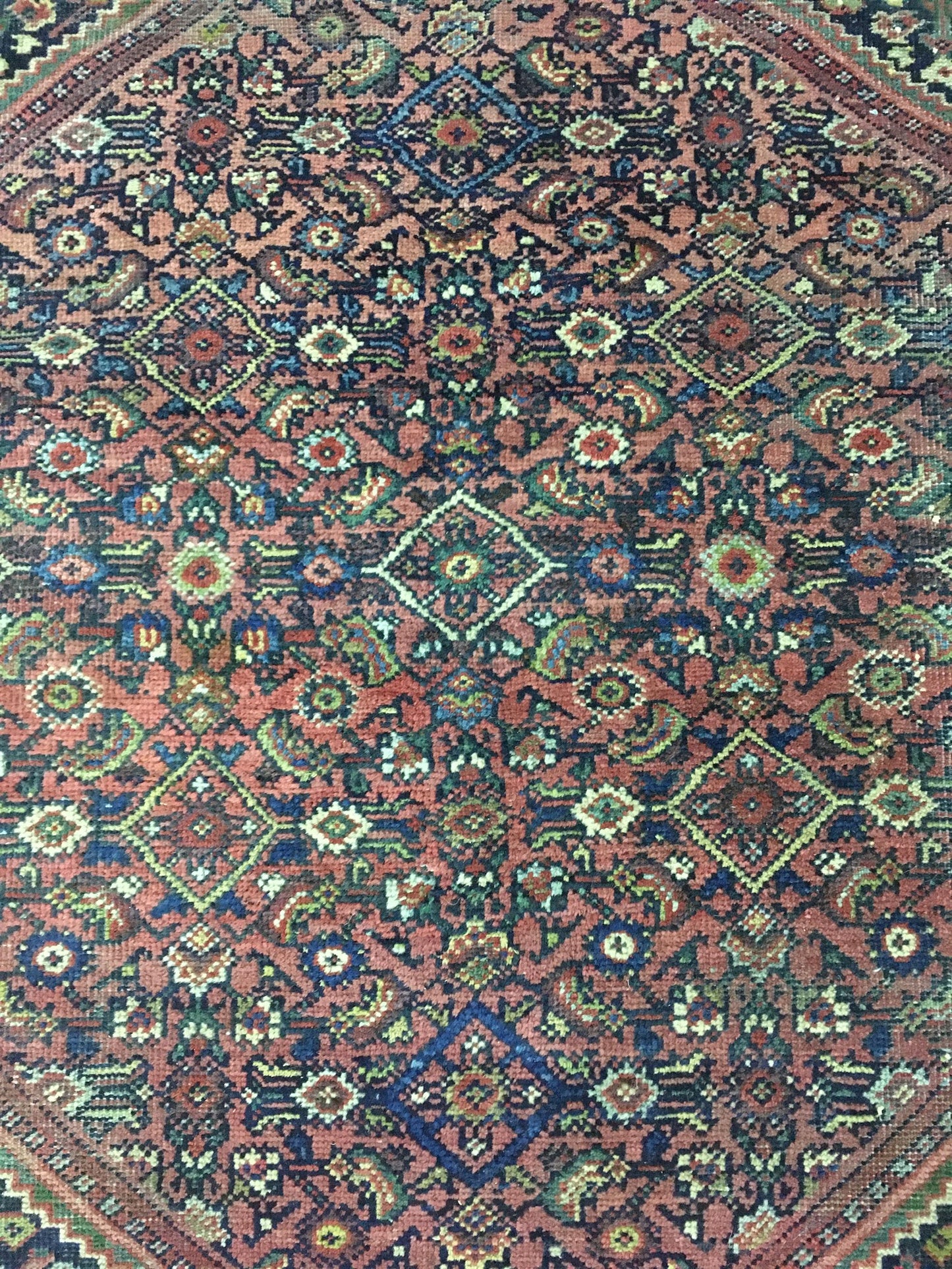 AORug#3238 size. 10' 07" x 13' 00"