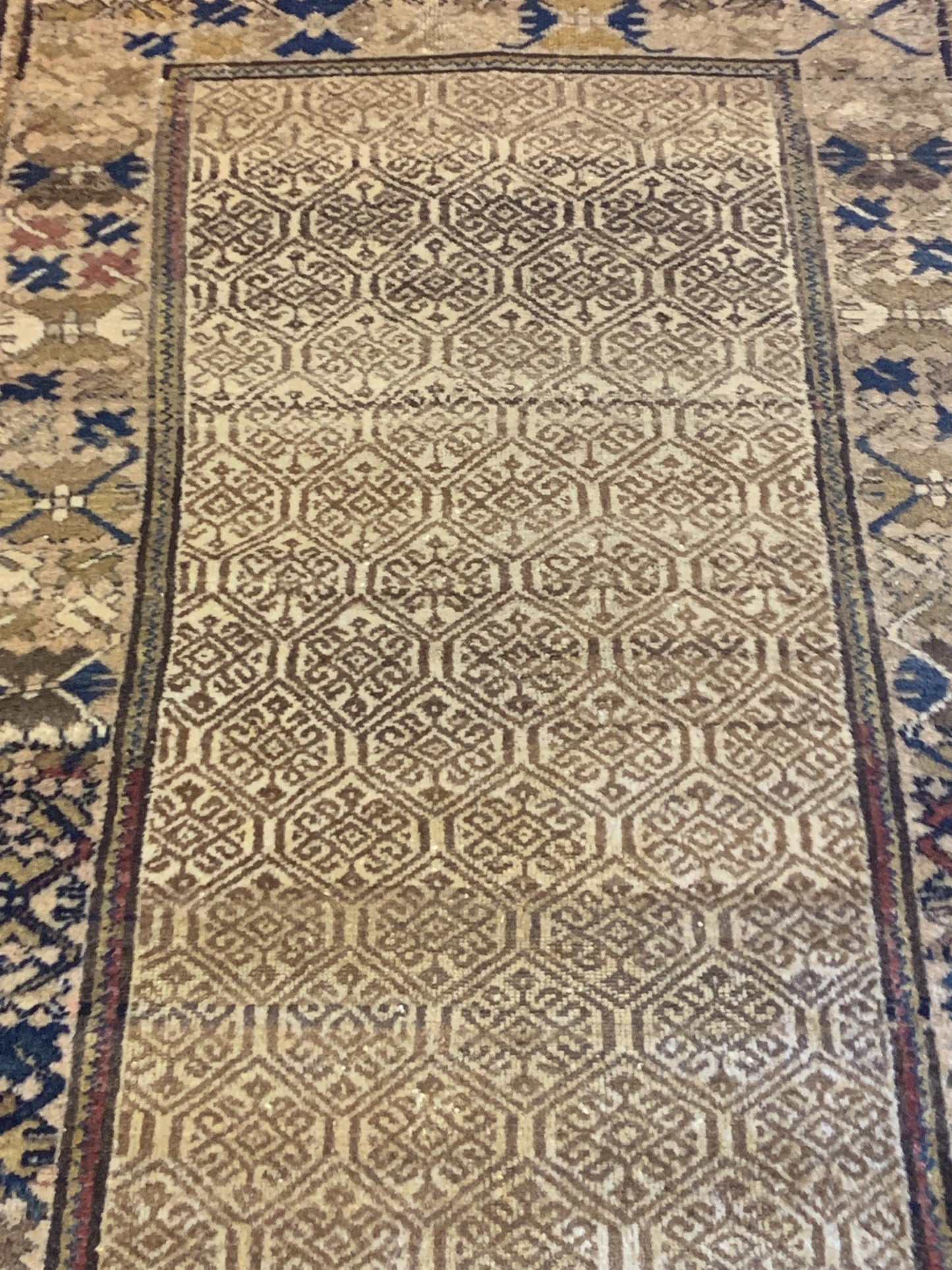AORug#4140 size. 2' 10" x 6' 04"