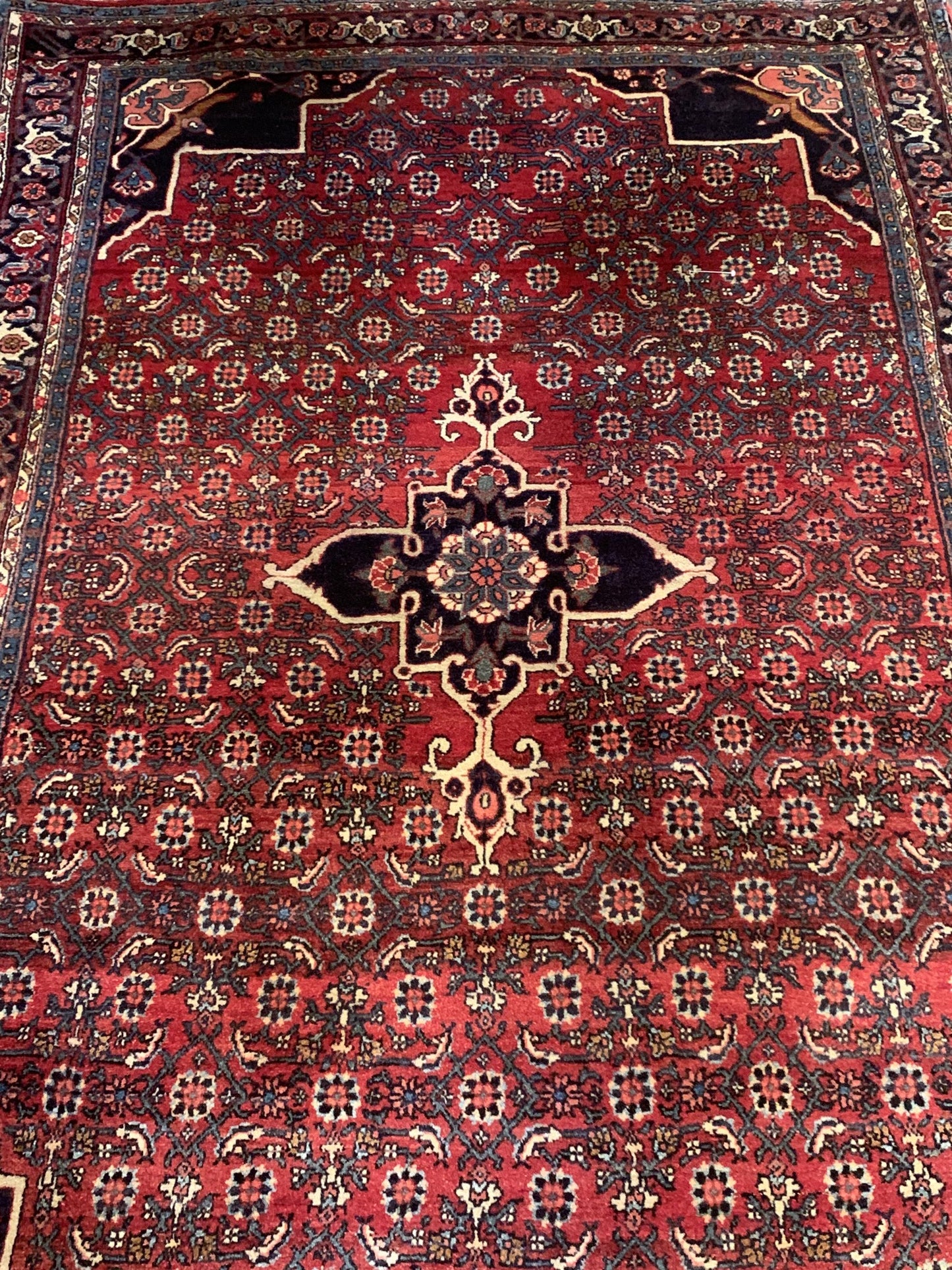 AORug#5252 size. 4' 04" x 7' 01"