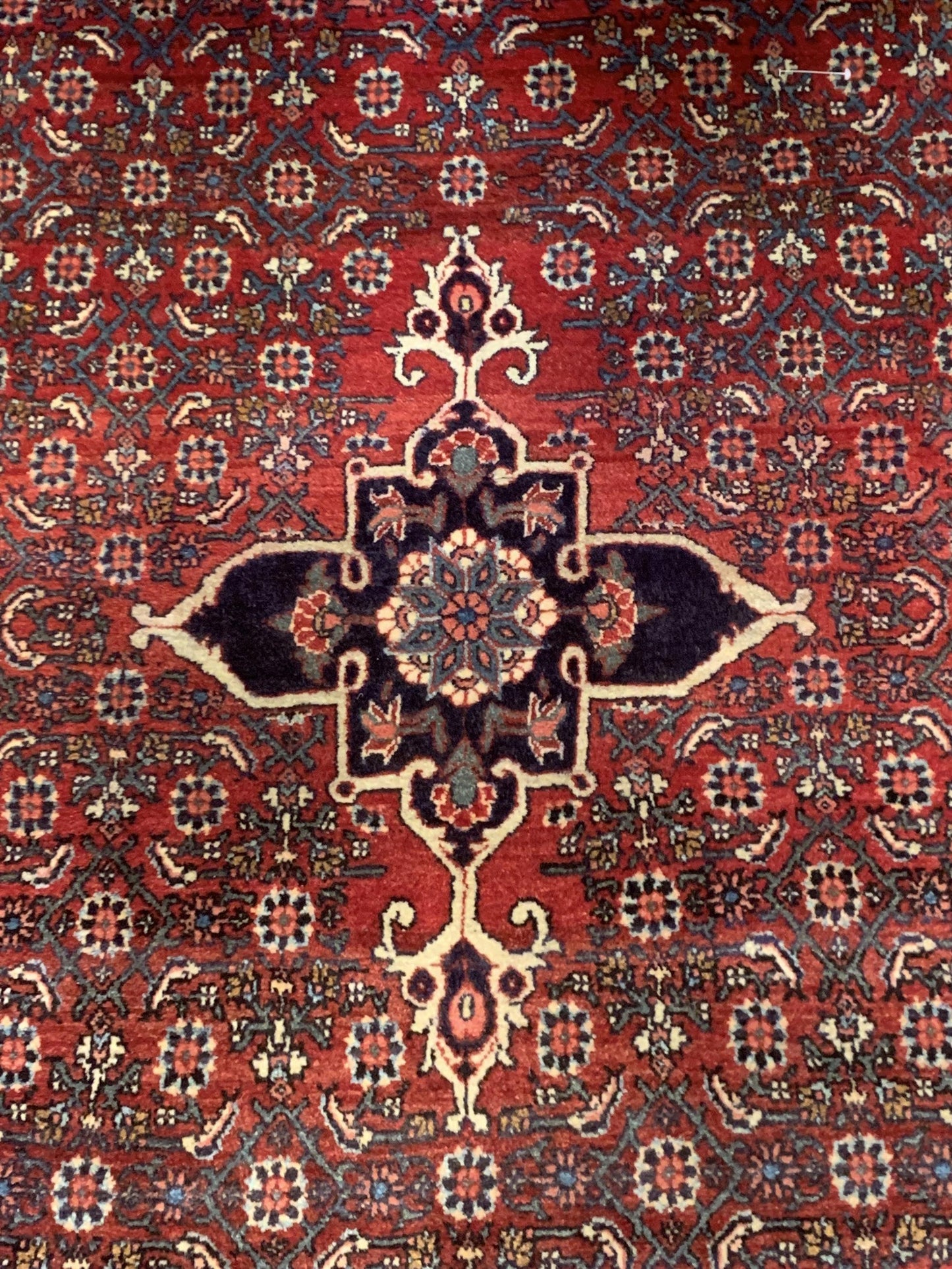 AORug#5252 size. 4' 04" x 7' 01"
