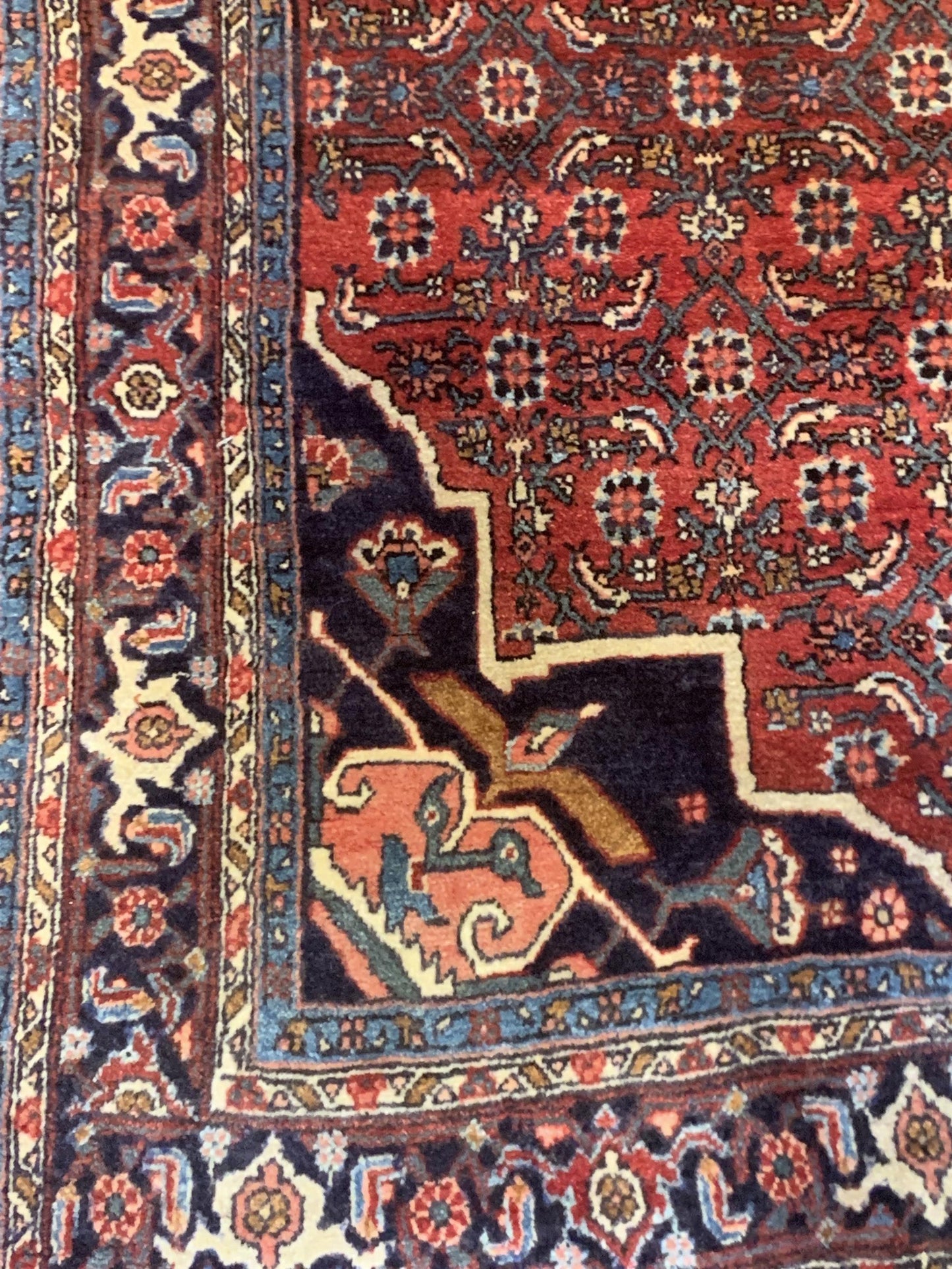 AORug#5252 size. 4' 04" x 7' 01"