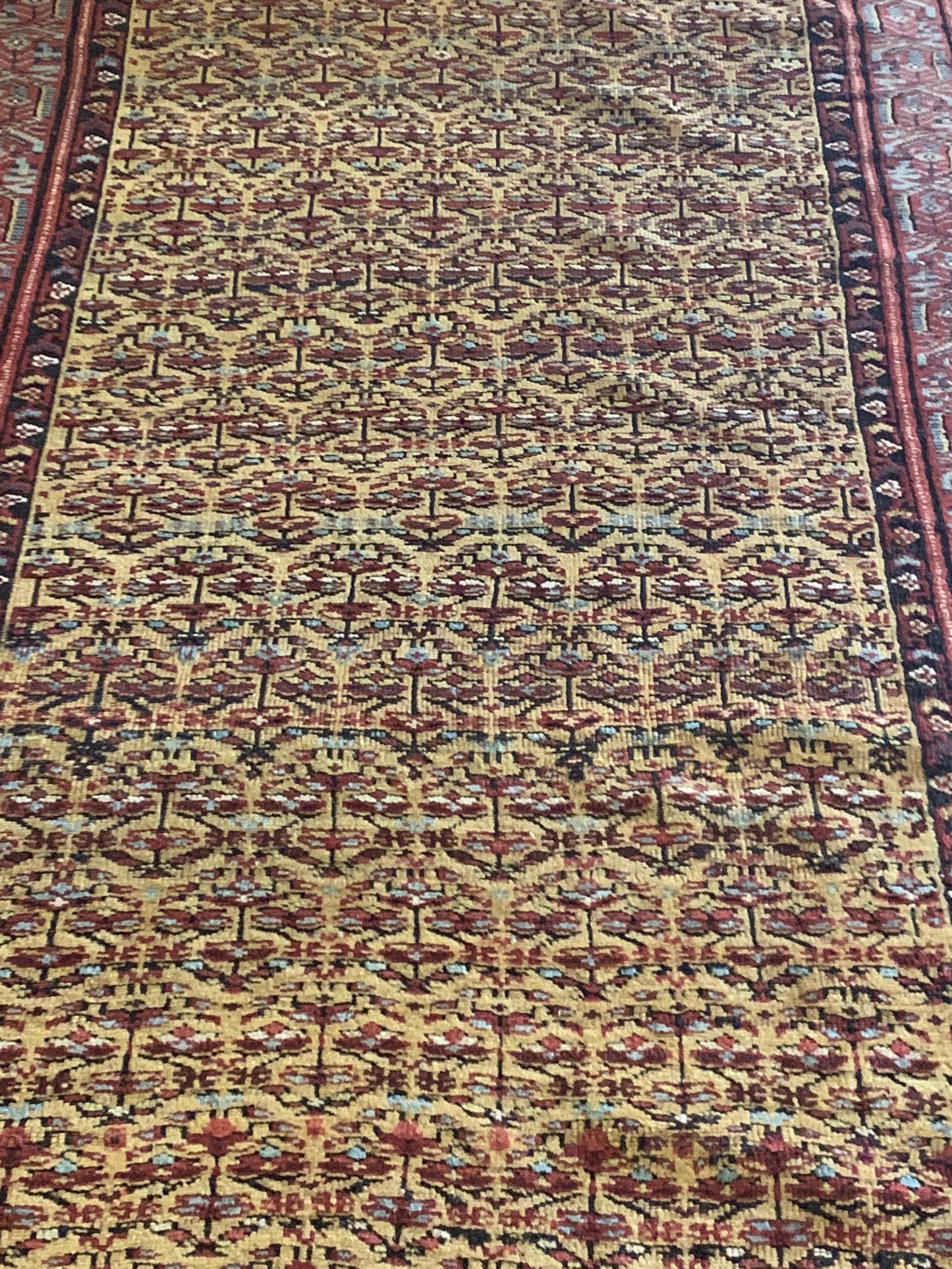 AORug#2697 size. 3' 10" x 14' 00"