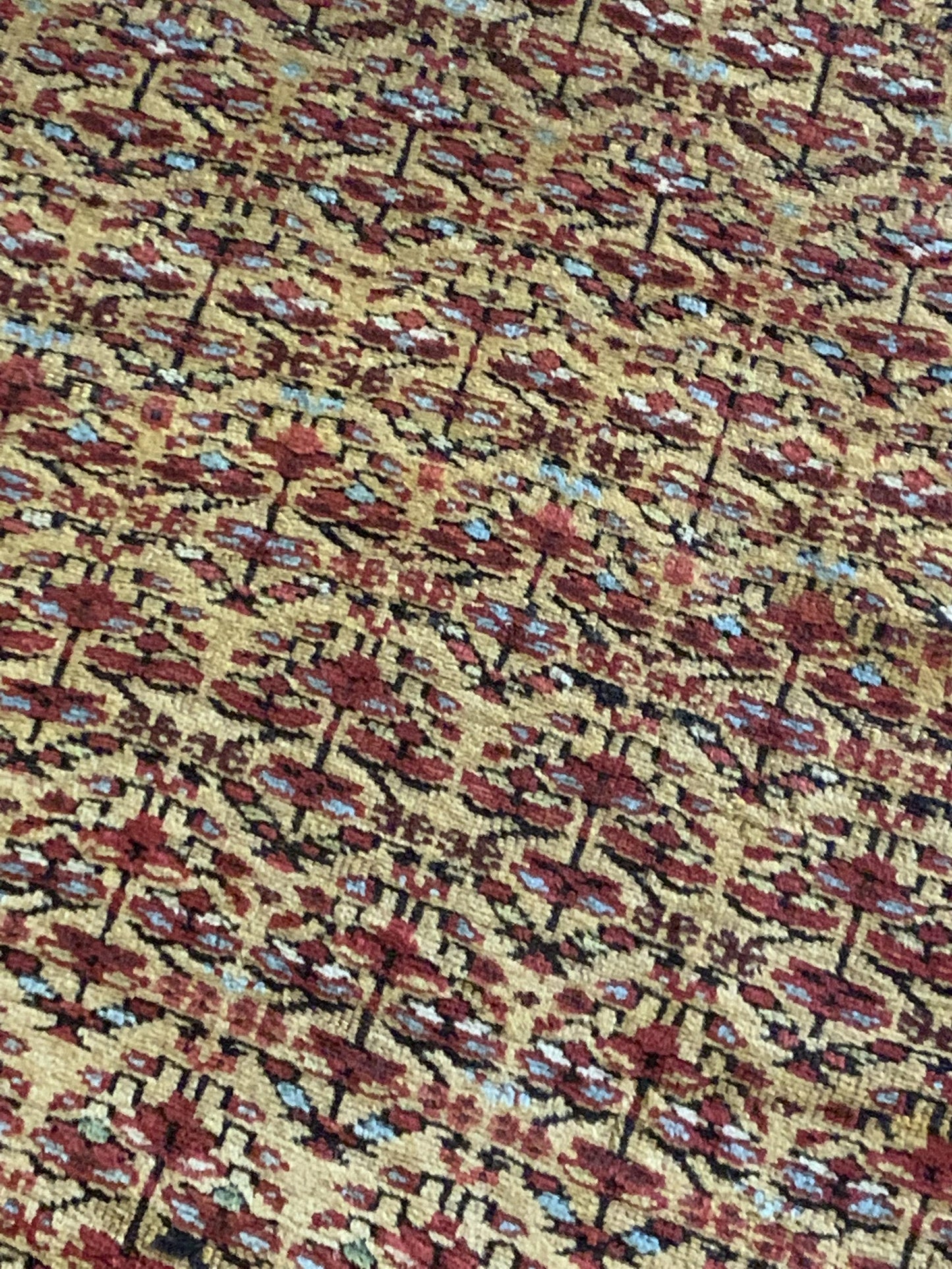 AORug#2697 size. 3' 10" x 14' 00"