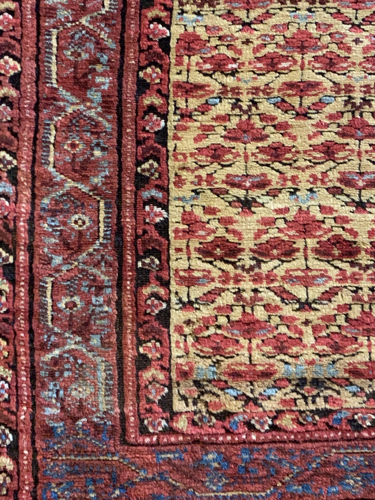 AORug#2697 size. 3' 10" x 14' 00"