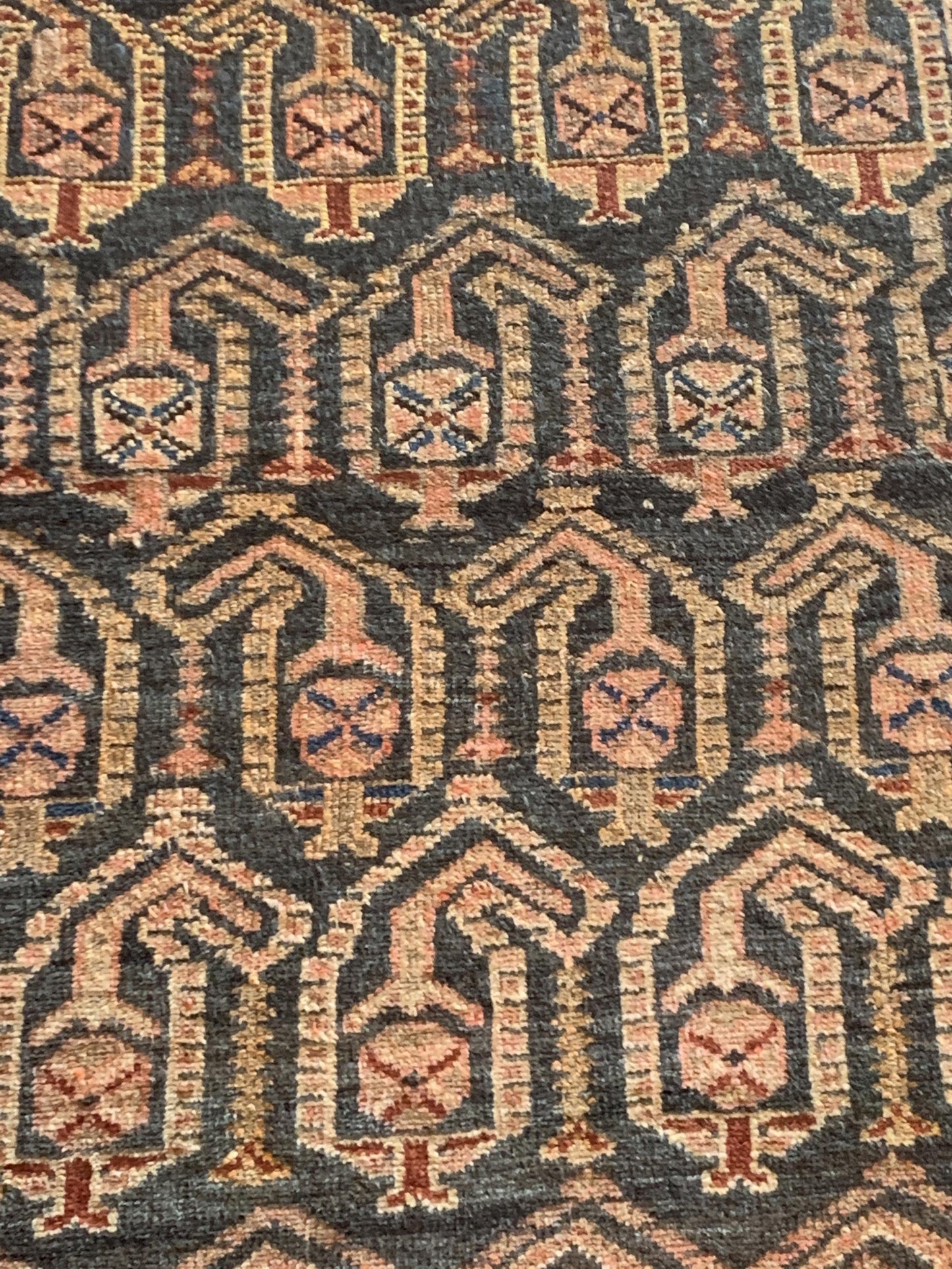 AORug#5207 size. 3' 05" x 6' 08"