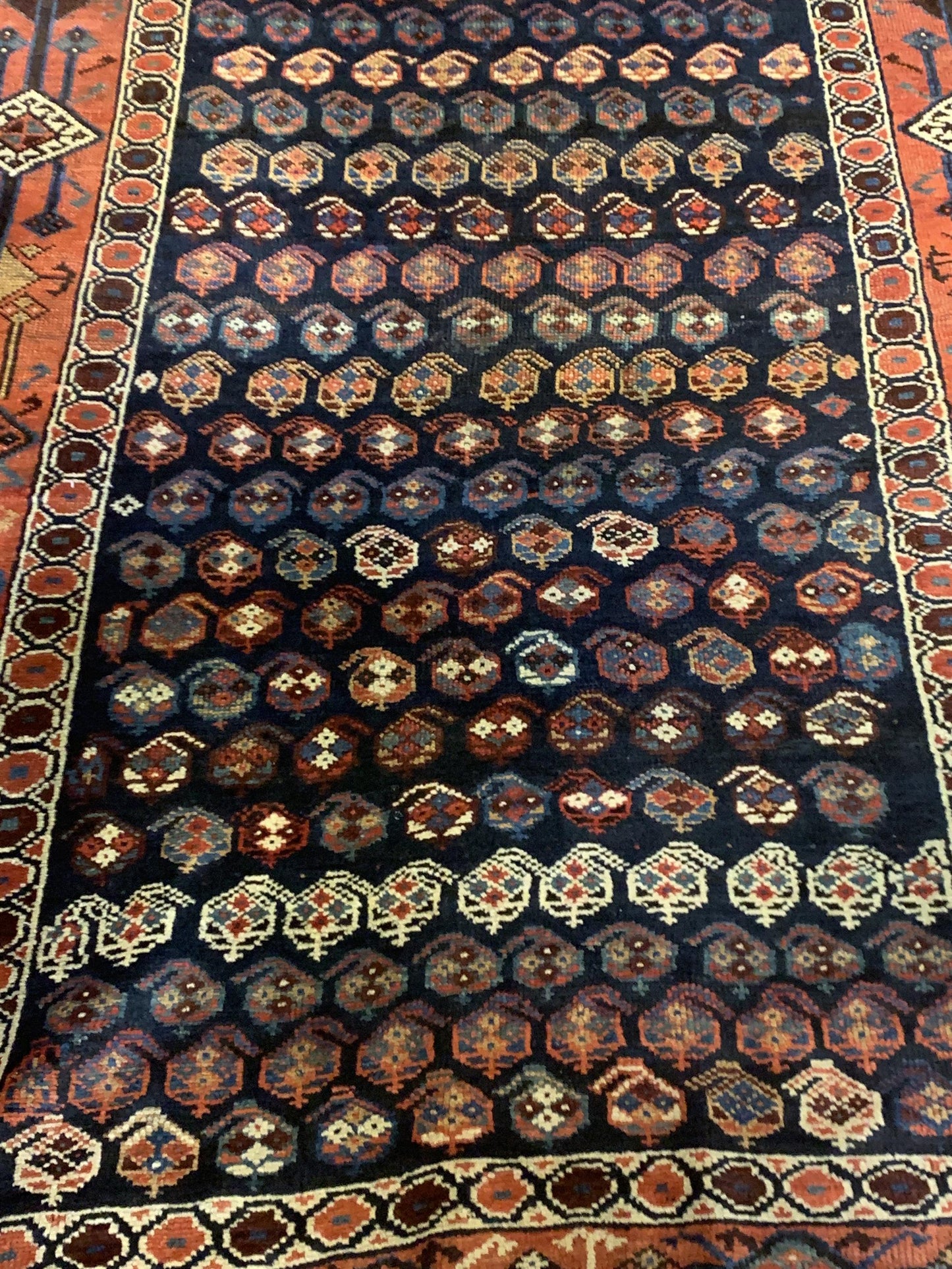 AORug#5330 size. 4' 07" x 11' 04"