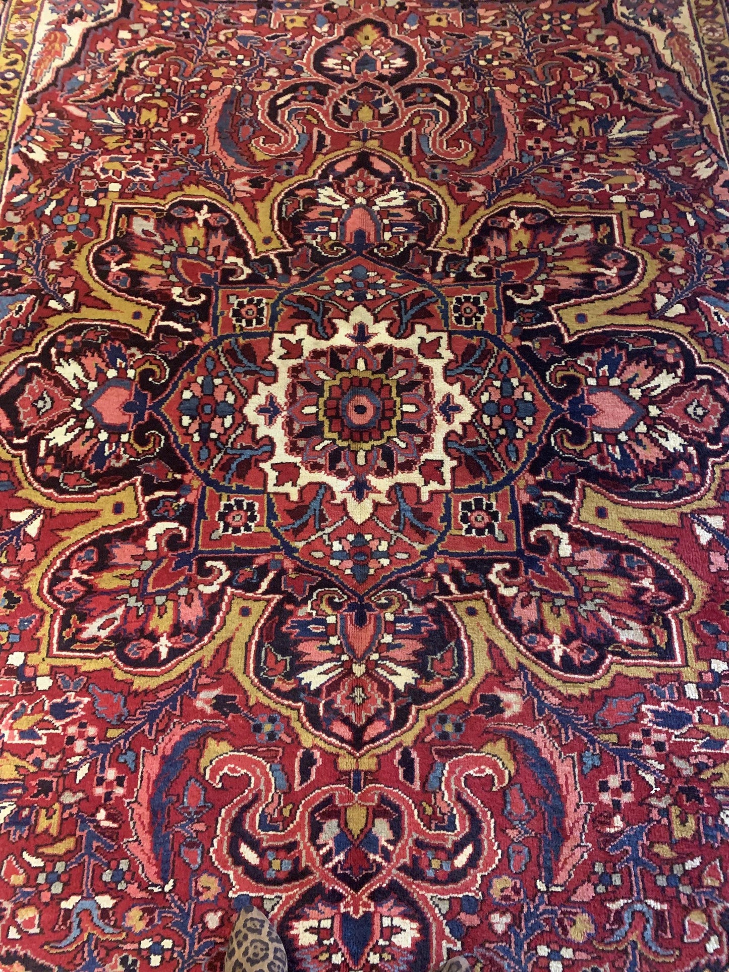 AORug#12905 size. 8' 03" x 11' 08"