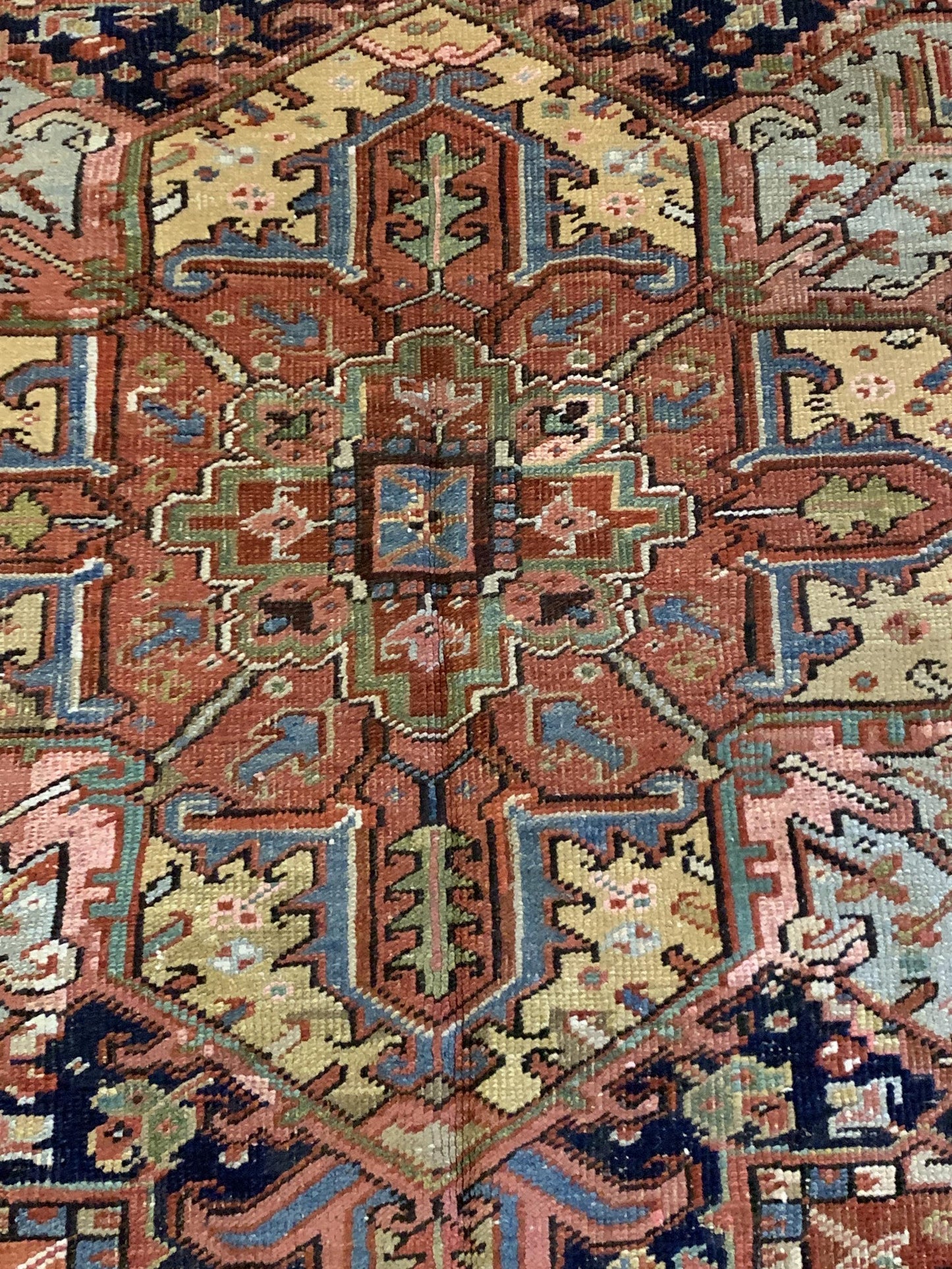 AORug#4645 size. 8' 06" x 12' 00"