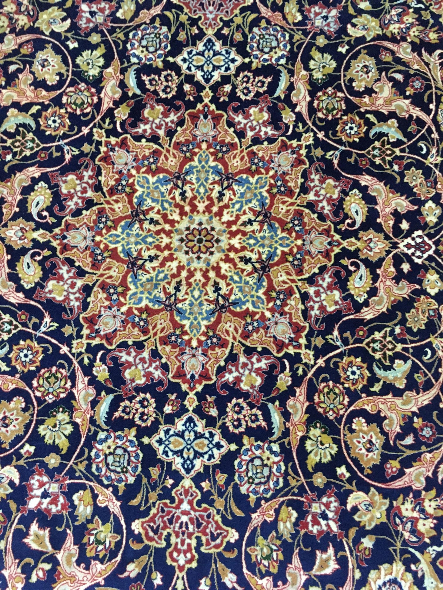 AORug#13440 size. 4' 10" x 7' 11"