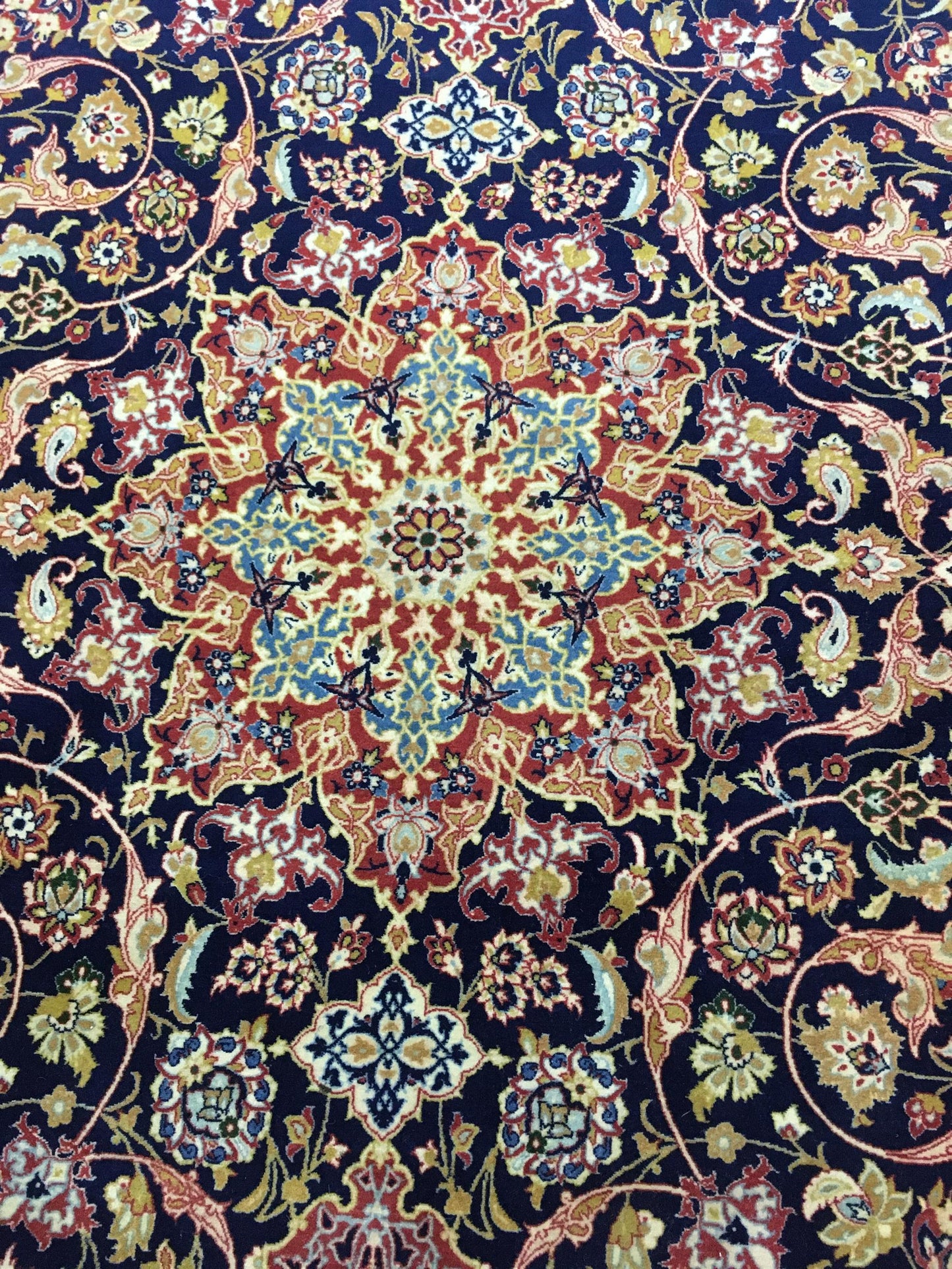 AORug#13440 size. 4' 10" x 7' 11"