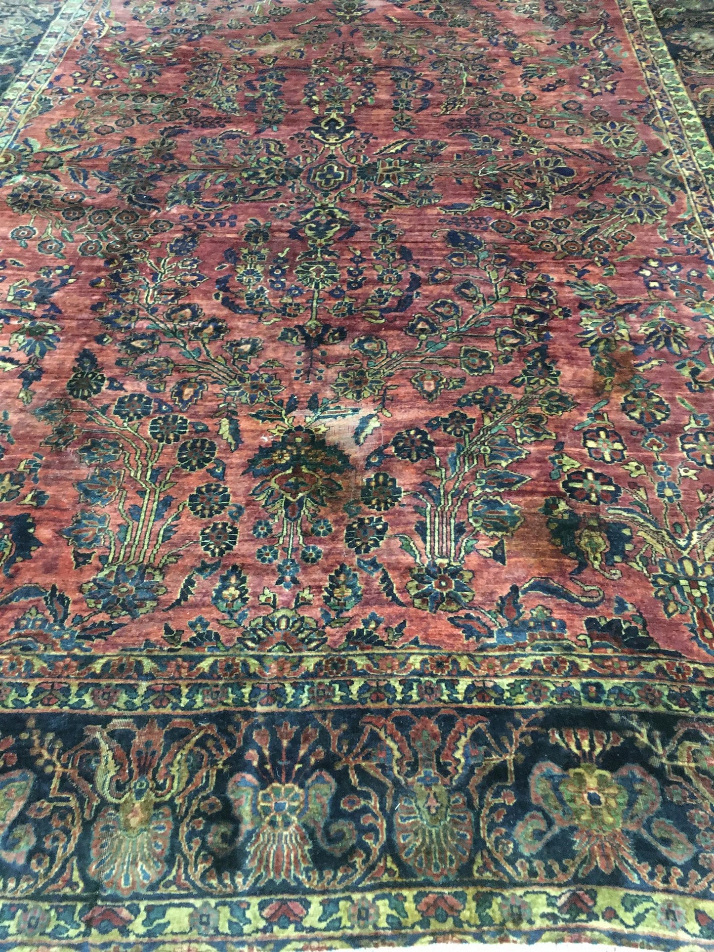AORug#3136 size. 9' 00" x 12' 05"
