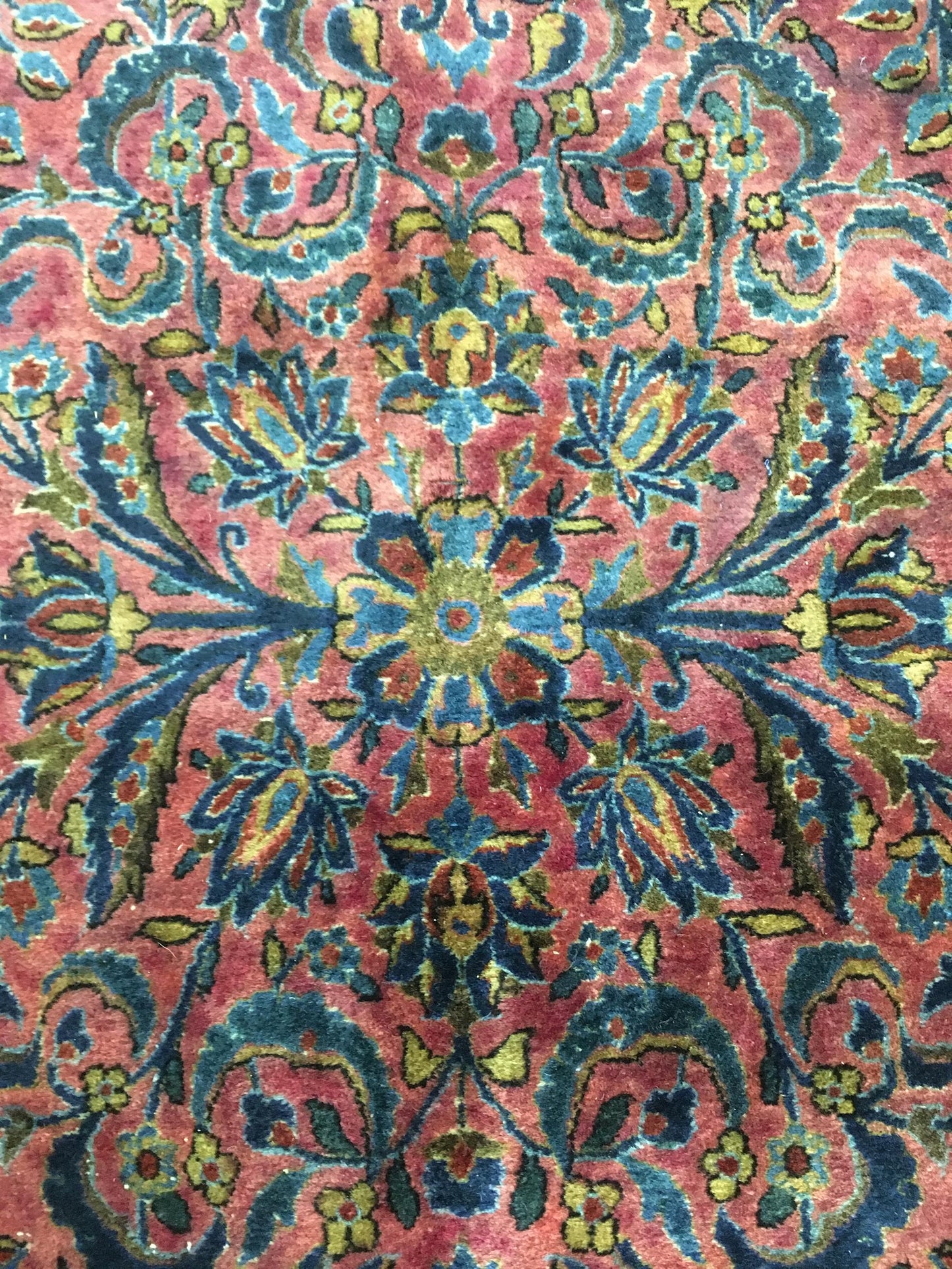 AORug#14006 size. 11' 08" x 15' 09"