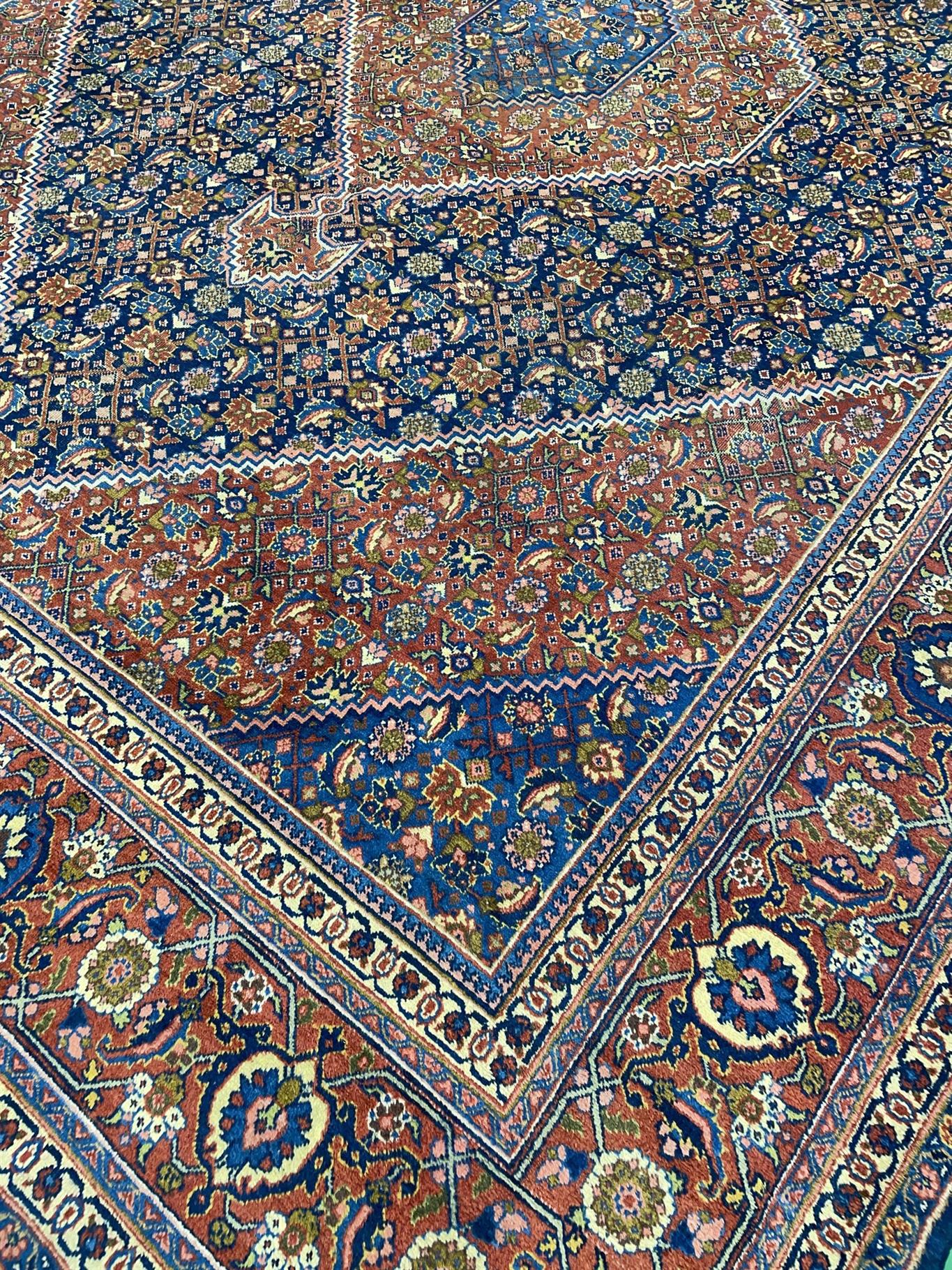 AORug#14395 size. 9' 08" x 13' 01"