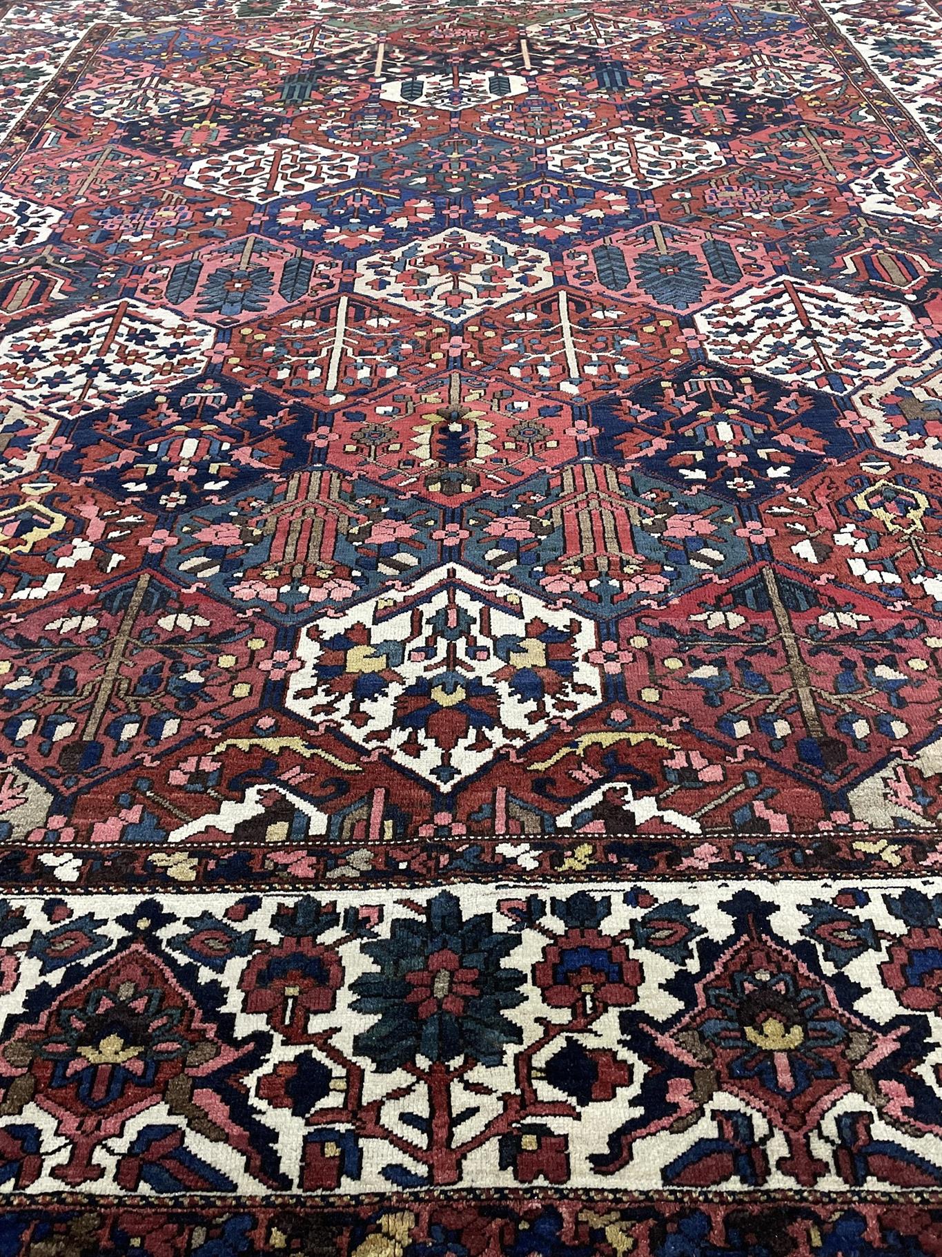 AORug#14691 size. 11' 04" x 13' 03"