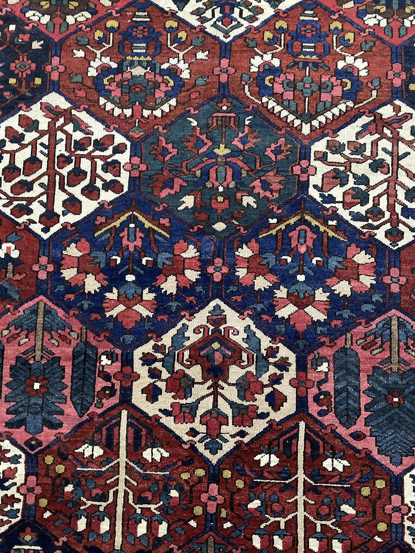 AORug#14691 size. 11' 04" x 13' 03"