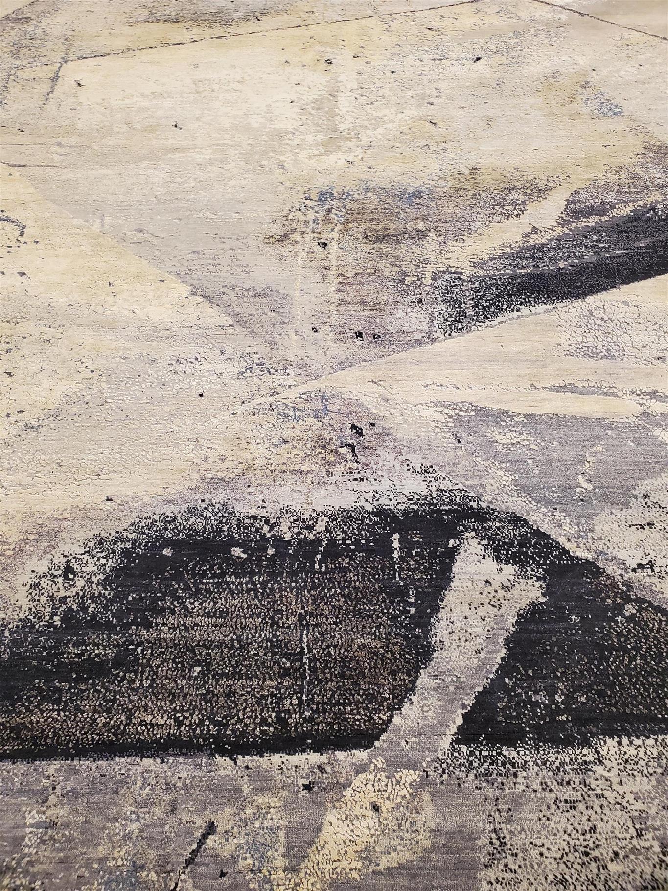 AORug#14017 size. 9' 01" x 12' 01"