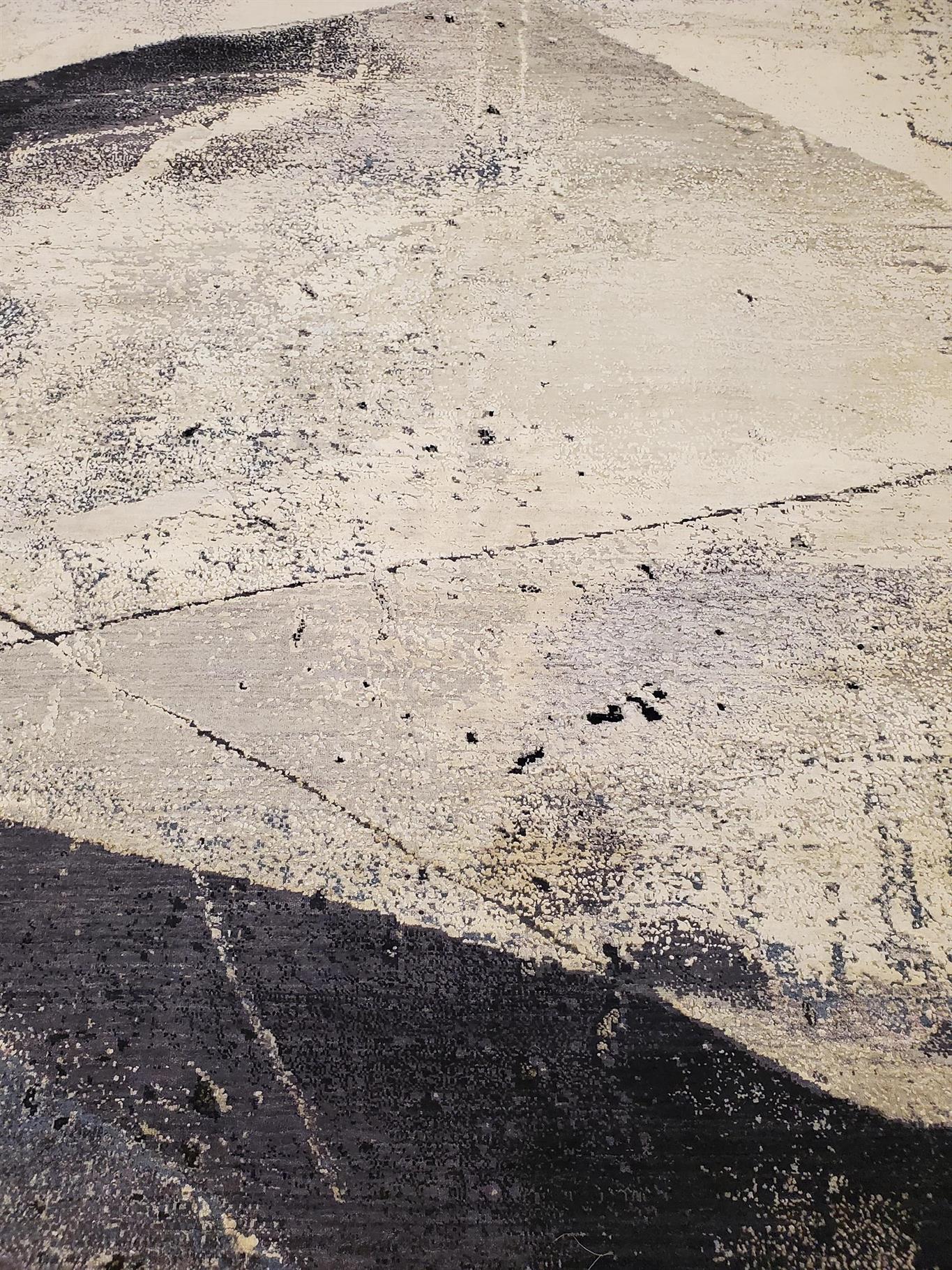 AORug#14017 size. 9' 01" x 12' 01"