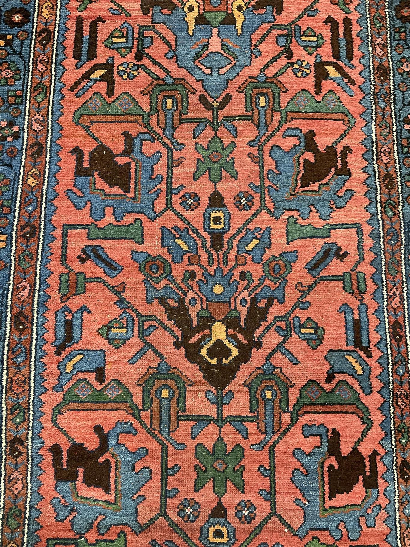 AORug#14490 size. 3' 05" x 15' 05"