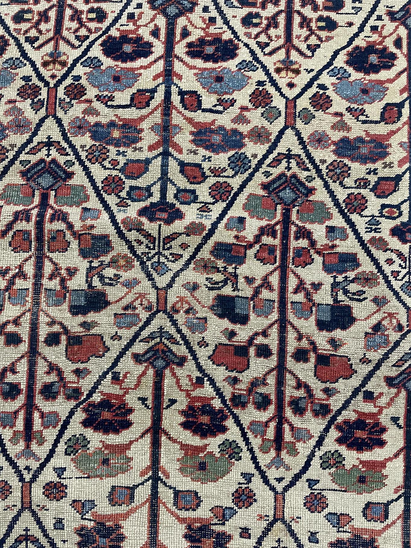 AORug#10220 size. 7' 11" x 13' 04"