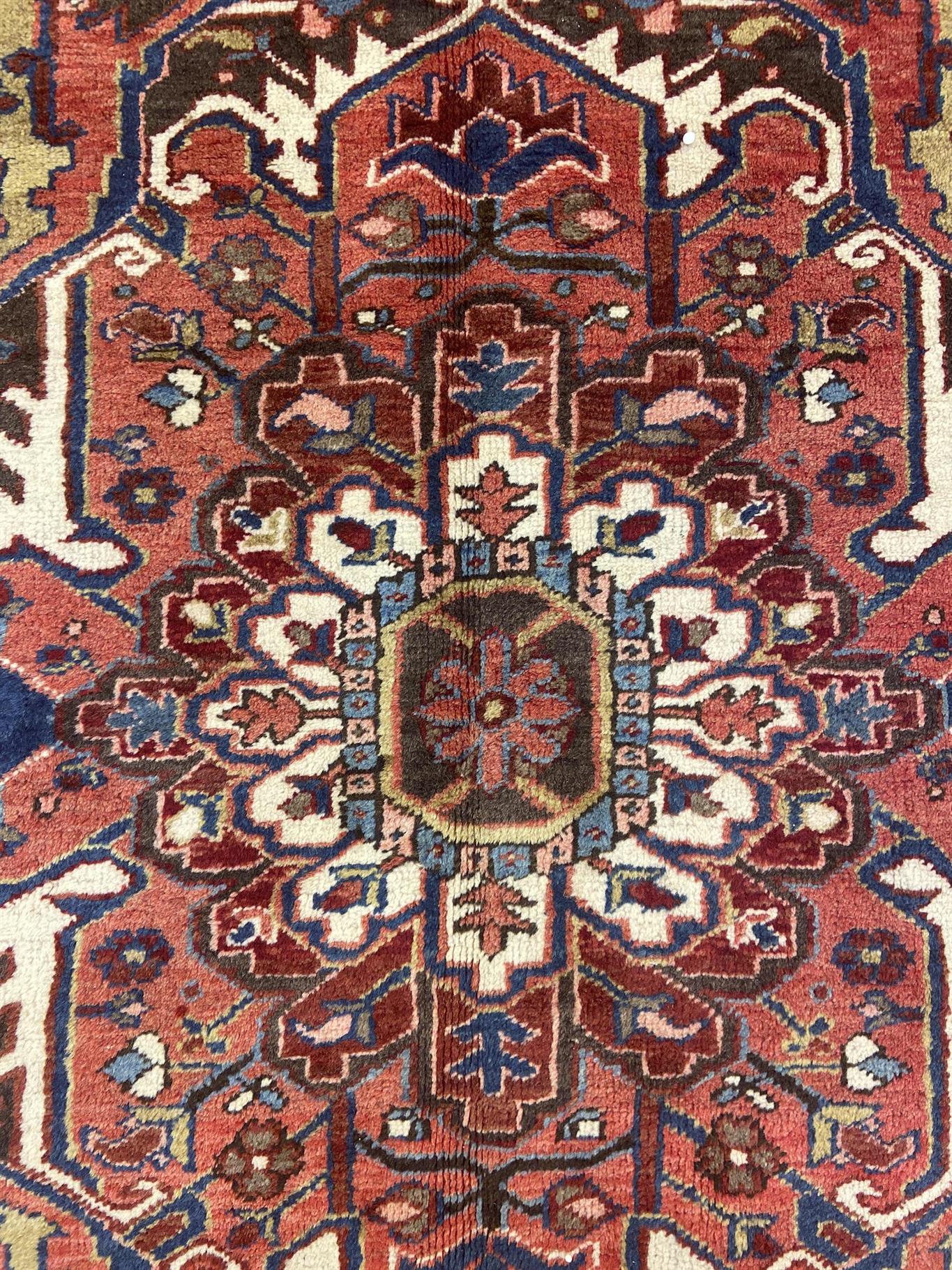 AORug#12703 size. 11' 04" x 14' 05"
