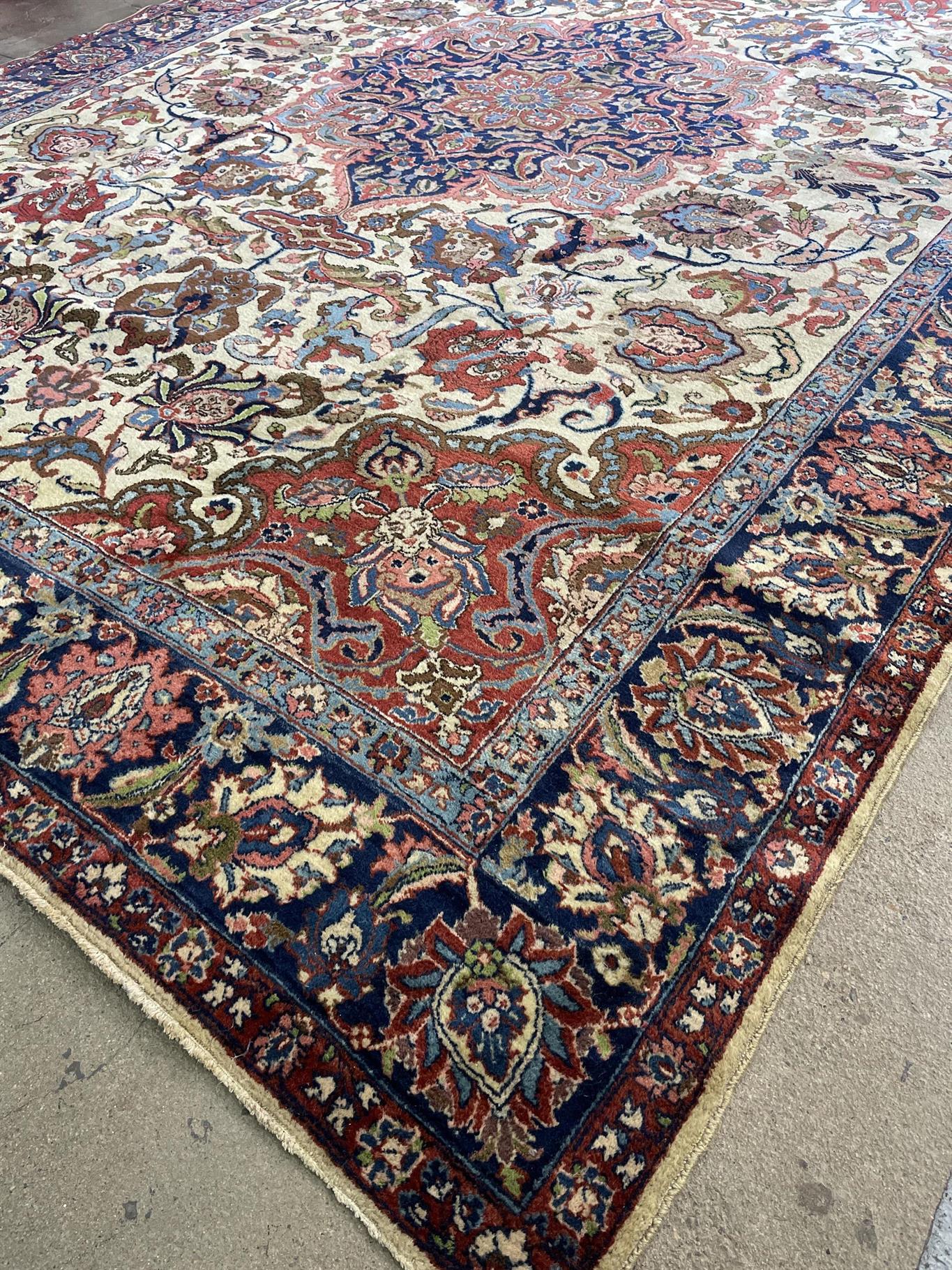 AORug#9529 size. 8' 03" x 11' 10"