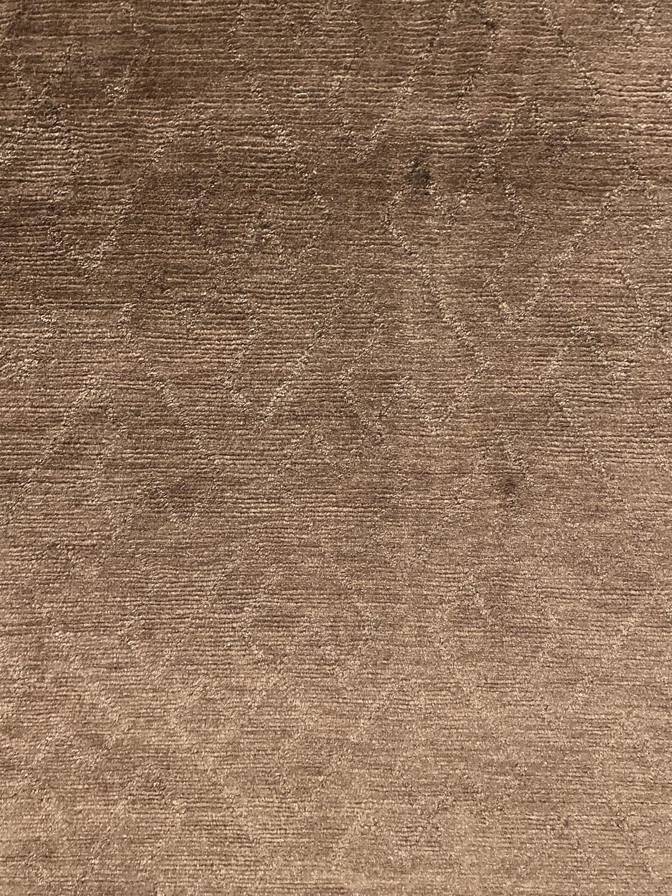 AORug#15869 size. 9' 05" x 12' 02"